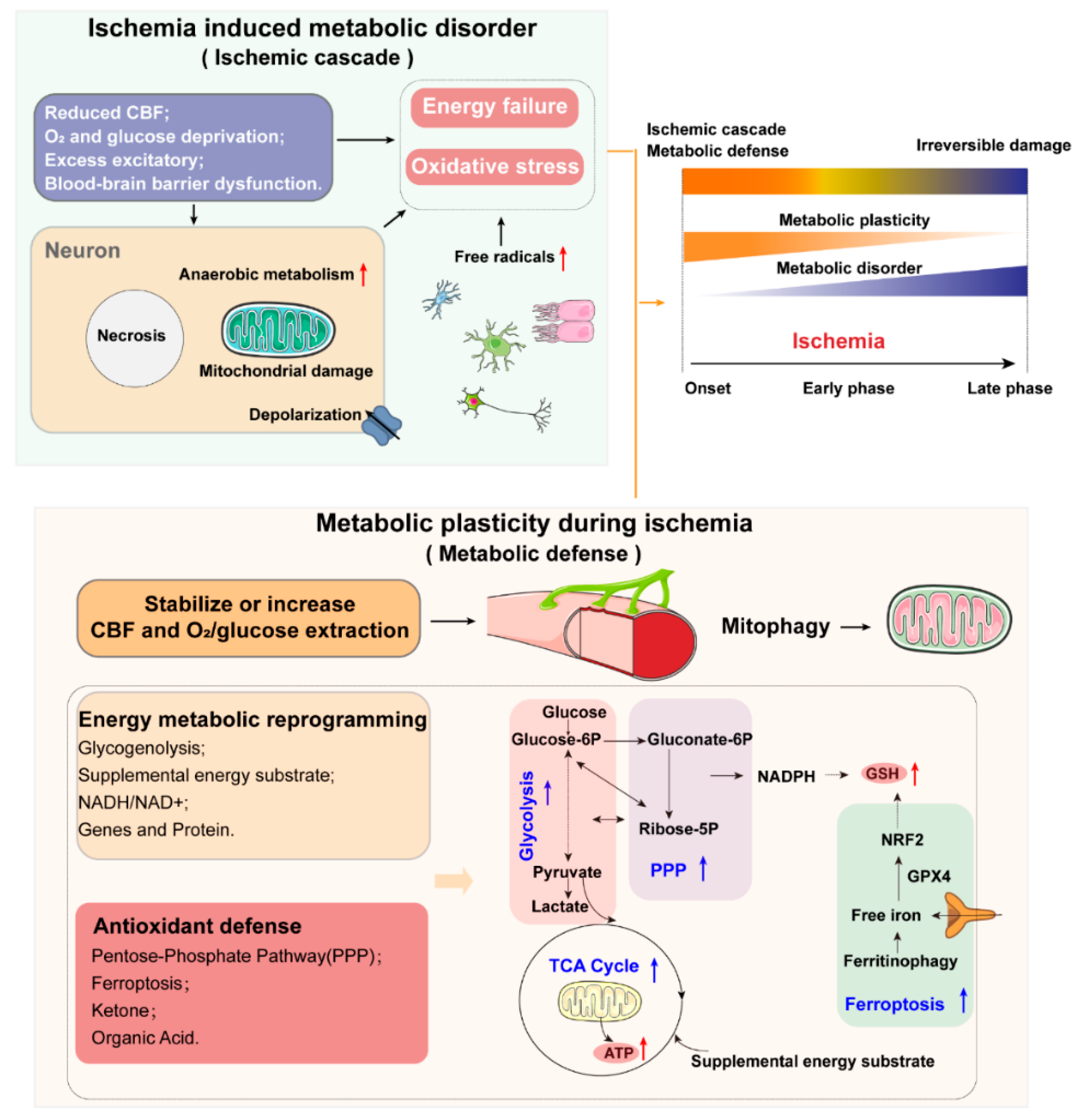 Biology 10 00424 g002 Biology 10 00424 g002
