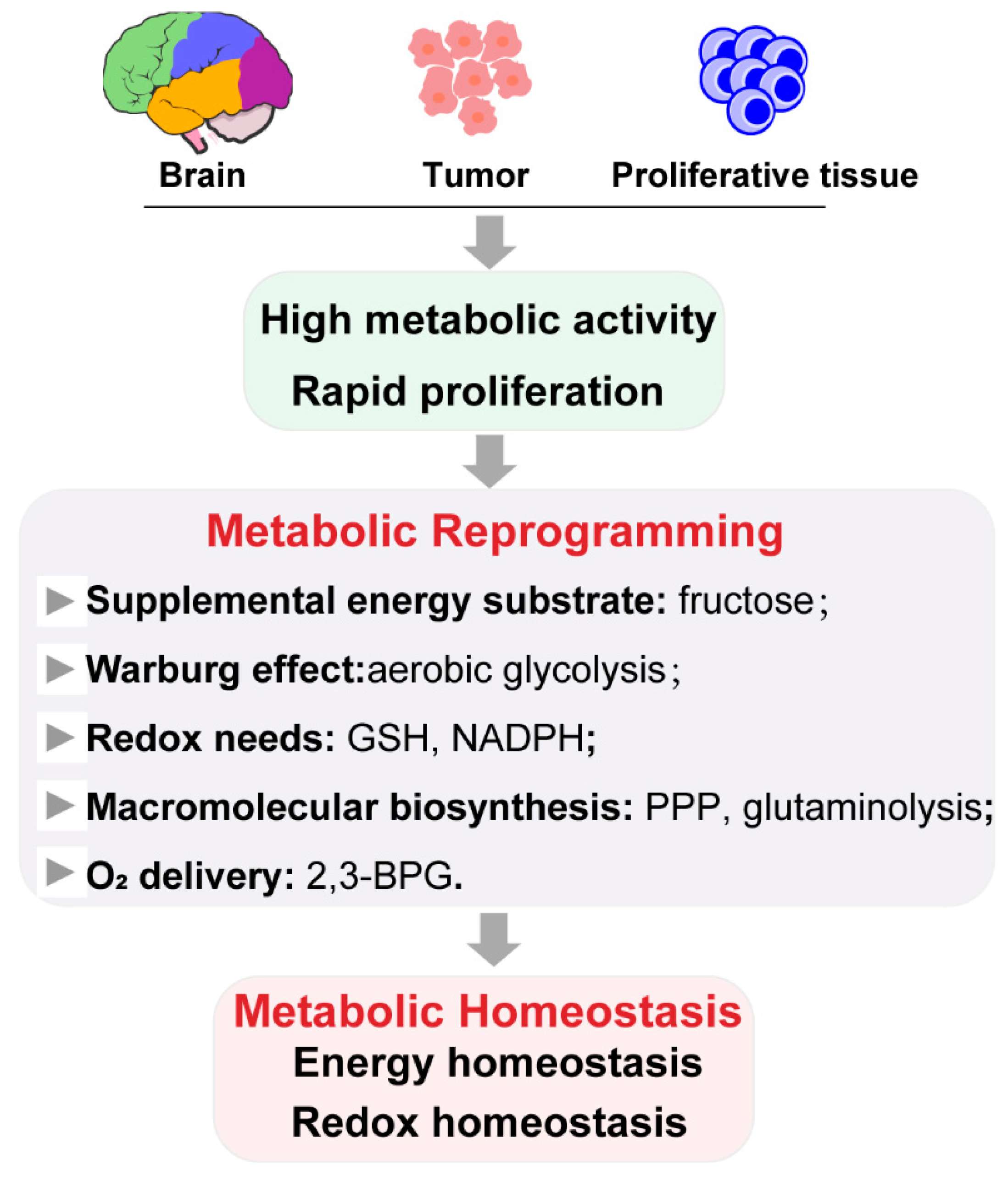 Biology 10 00424 g003 Biology 10 00424 g003