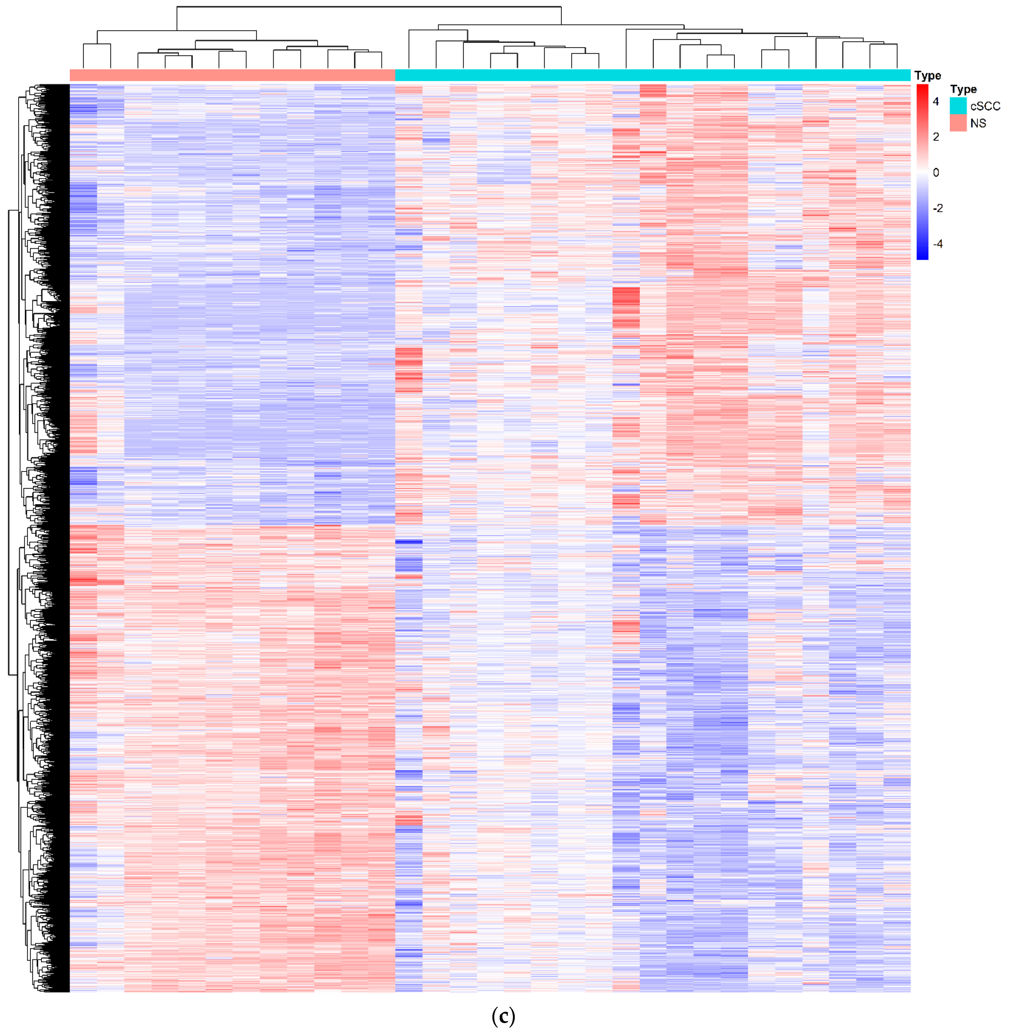 Biology 10 00432 g001b Biology 10 00432 g001b