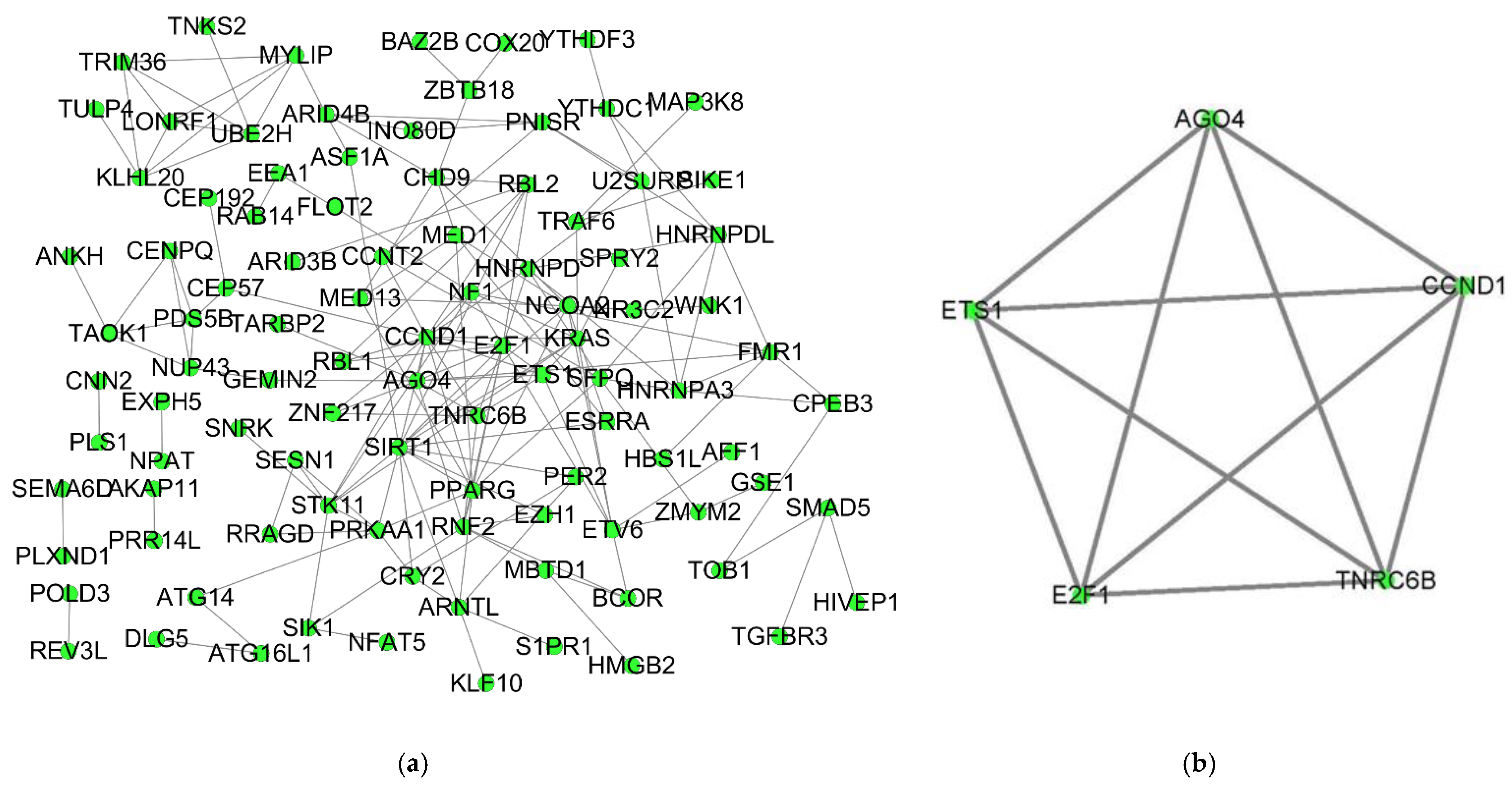 Biology 10 00432 g004 Biology 10 00432 g004