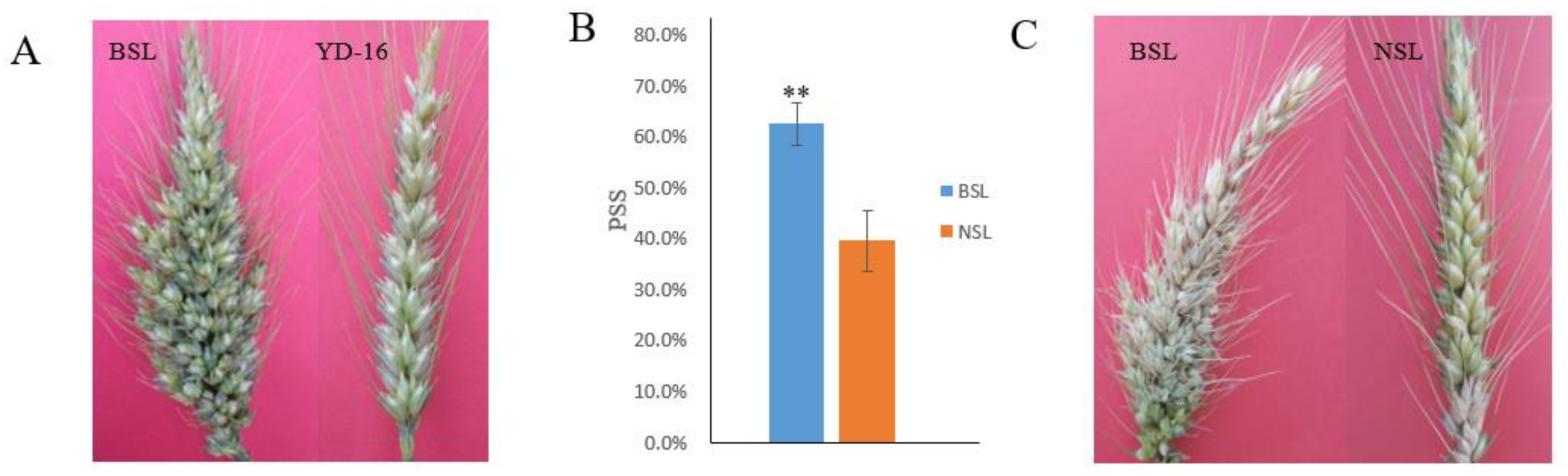 Biology 10 00437 g001 Biology 10 00437 g001