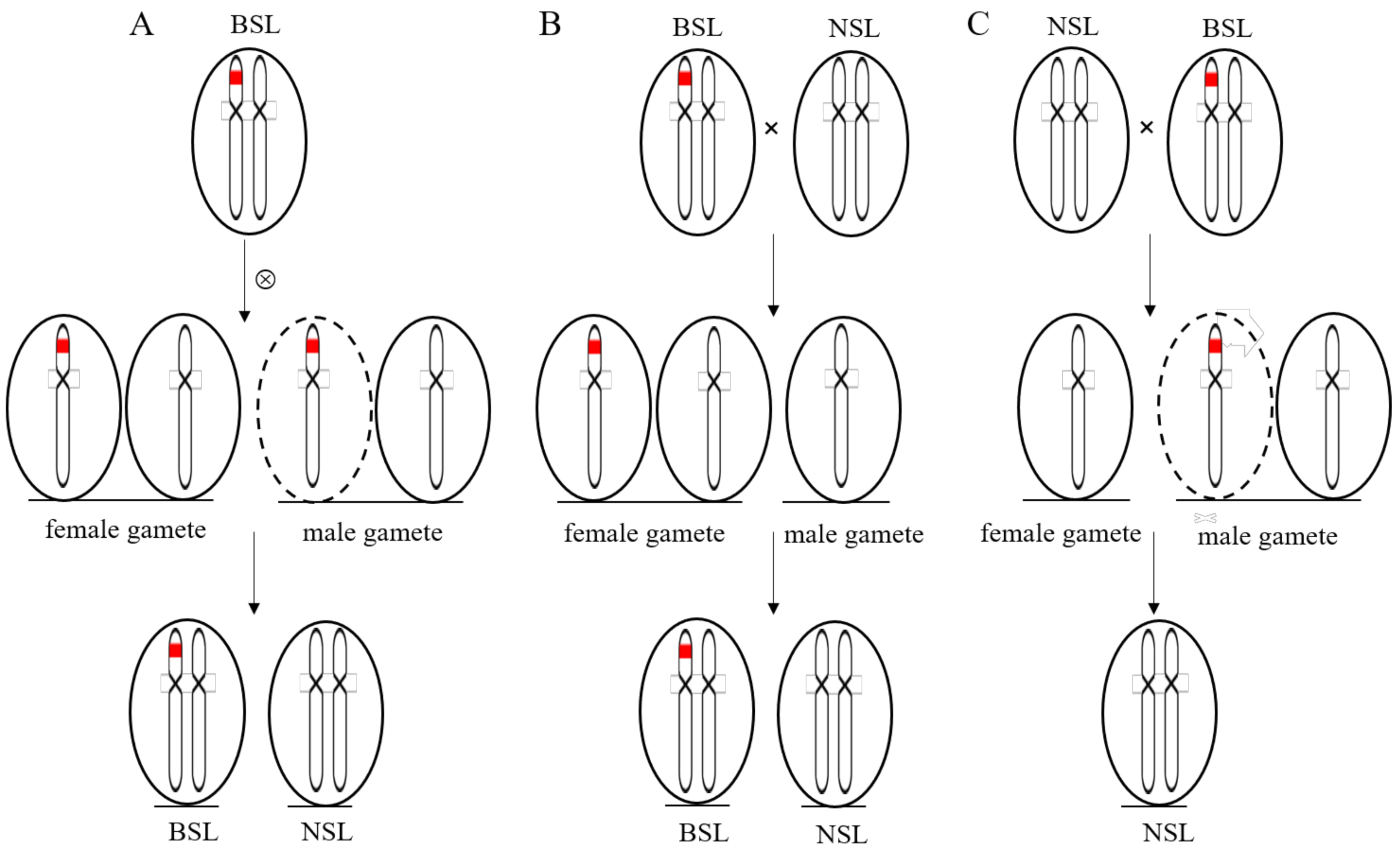 Biology 10 00437 g003 Biology 10 00437 g003