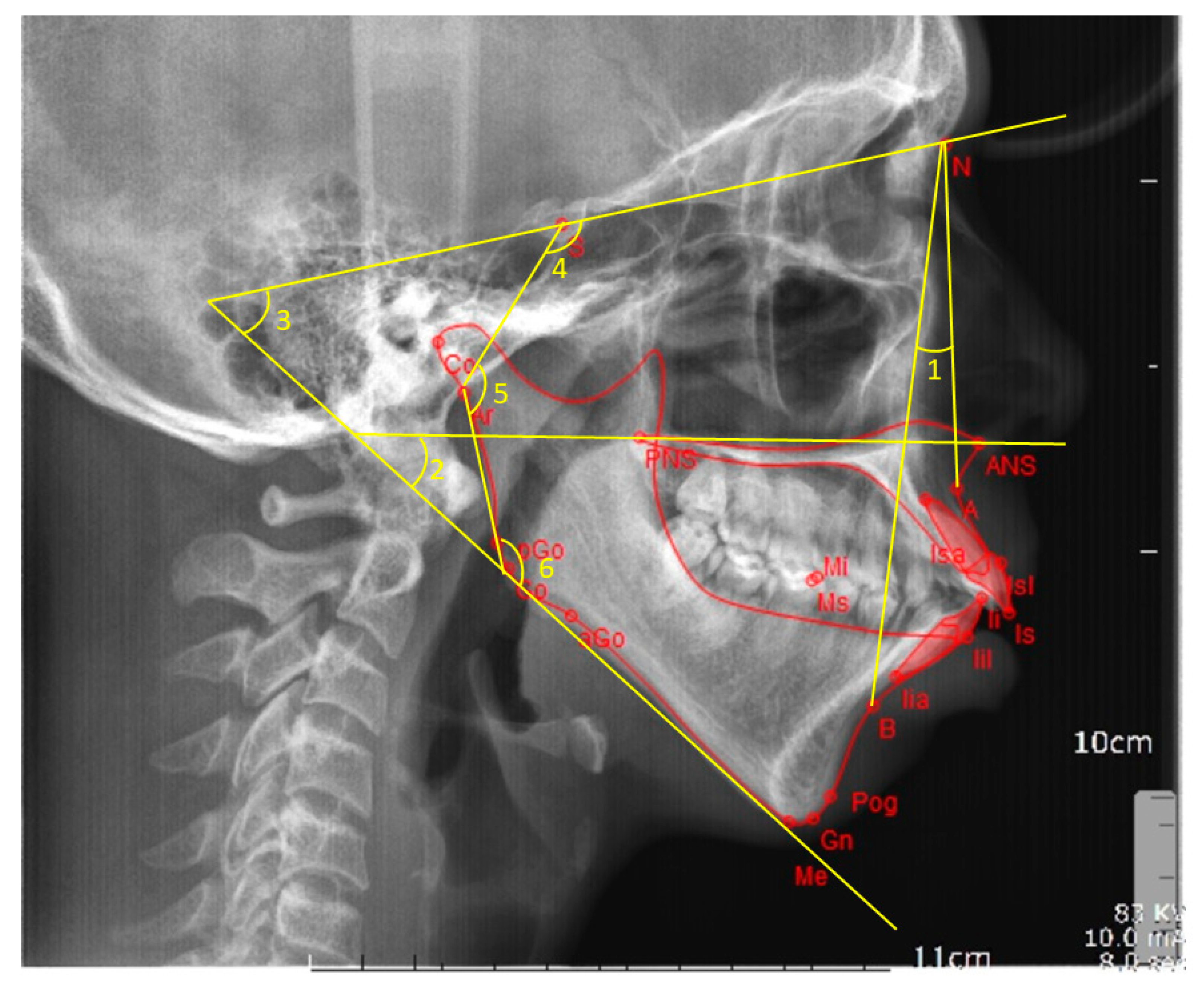 Biology 10 00438 g001