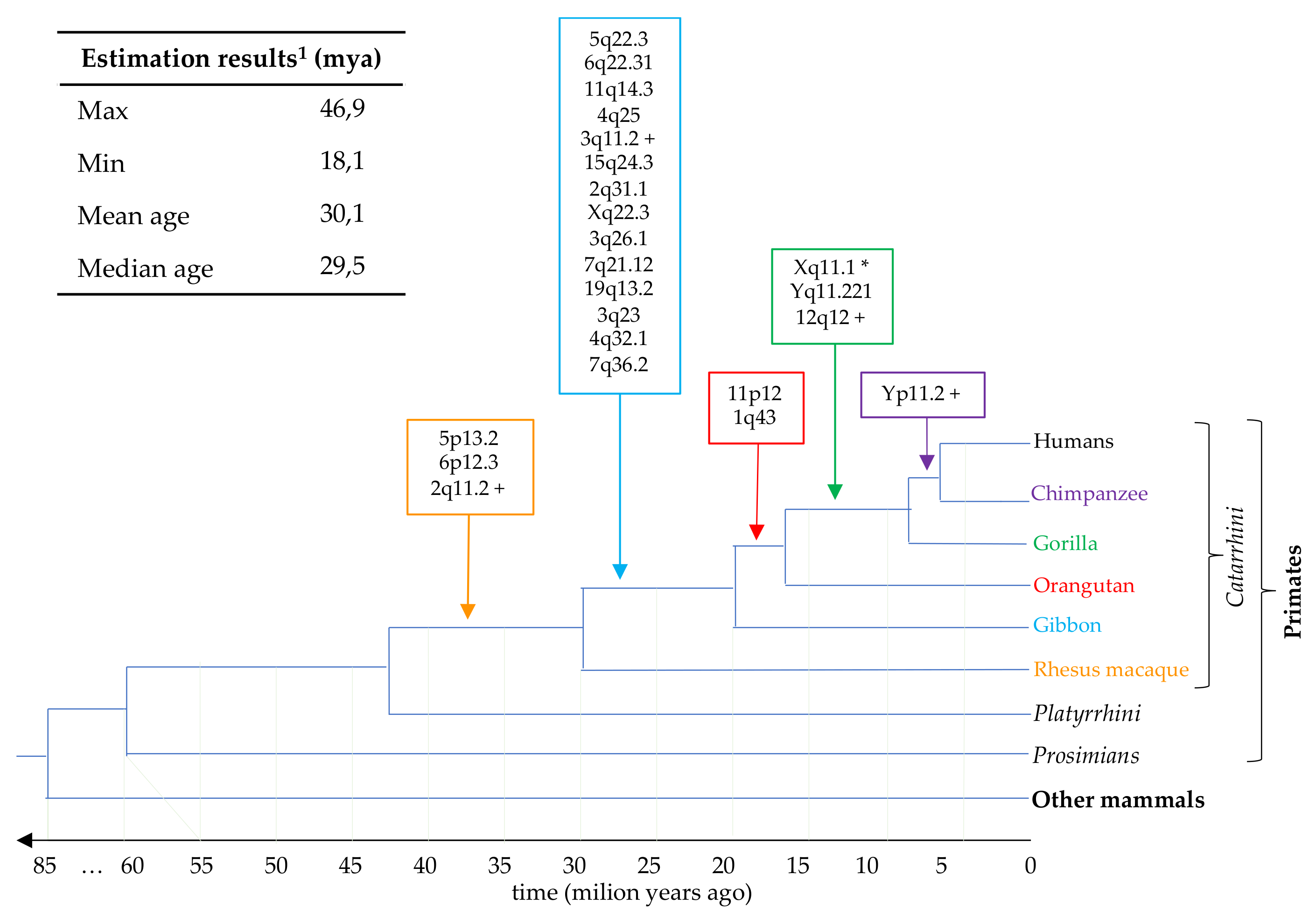 Biology 10 00439 g004