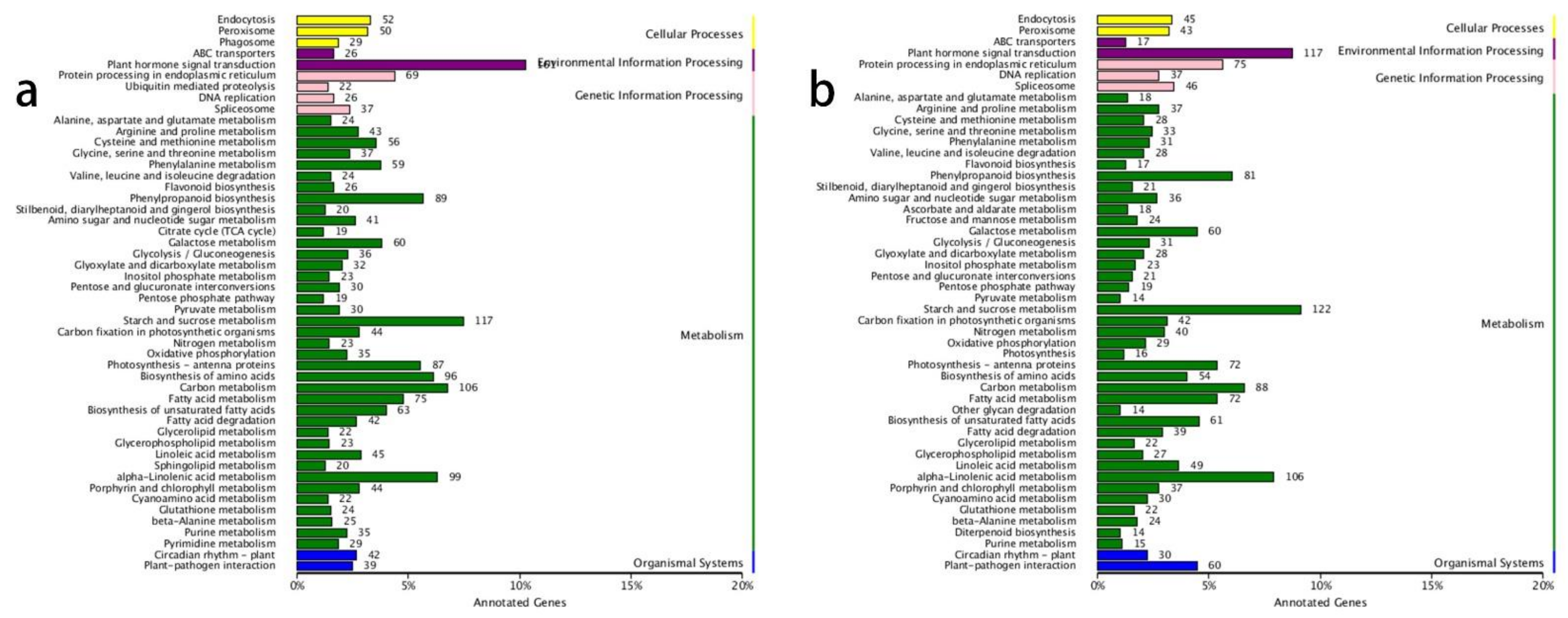 Biology 10 00440 g001