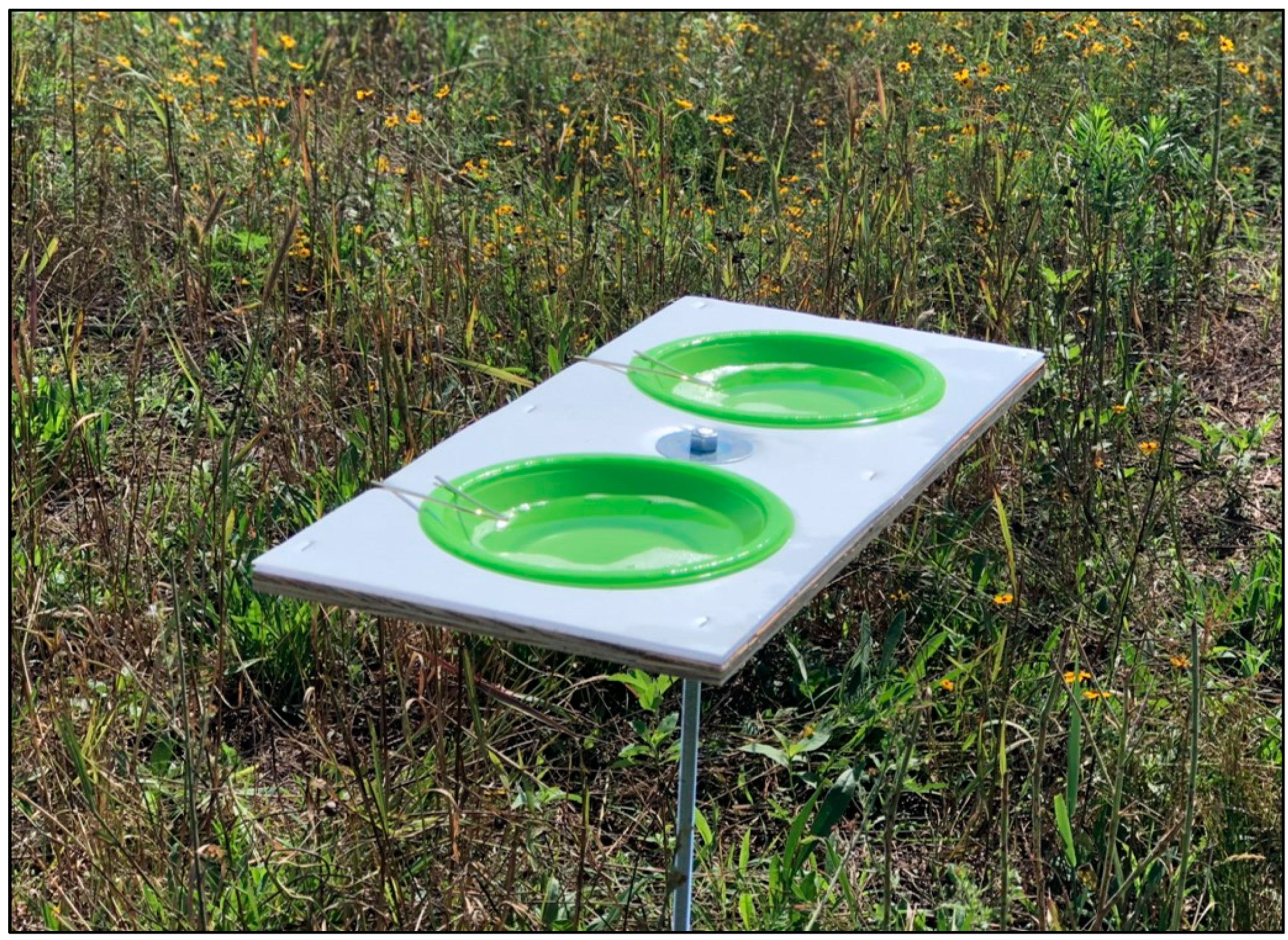 Biology 10 00445 g001