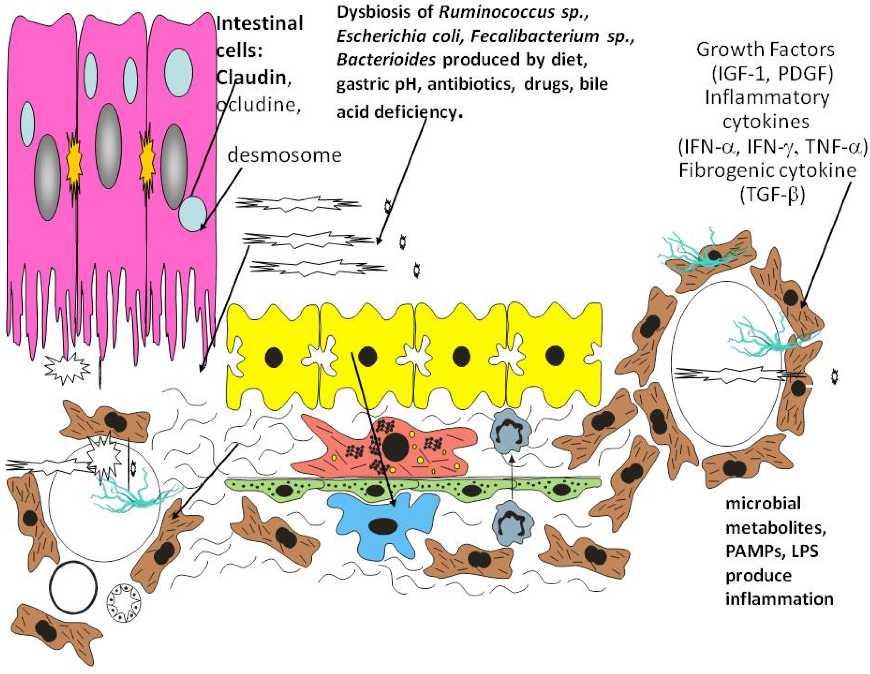 Biology 10 00447 g002 Biology 10 00447 g002