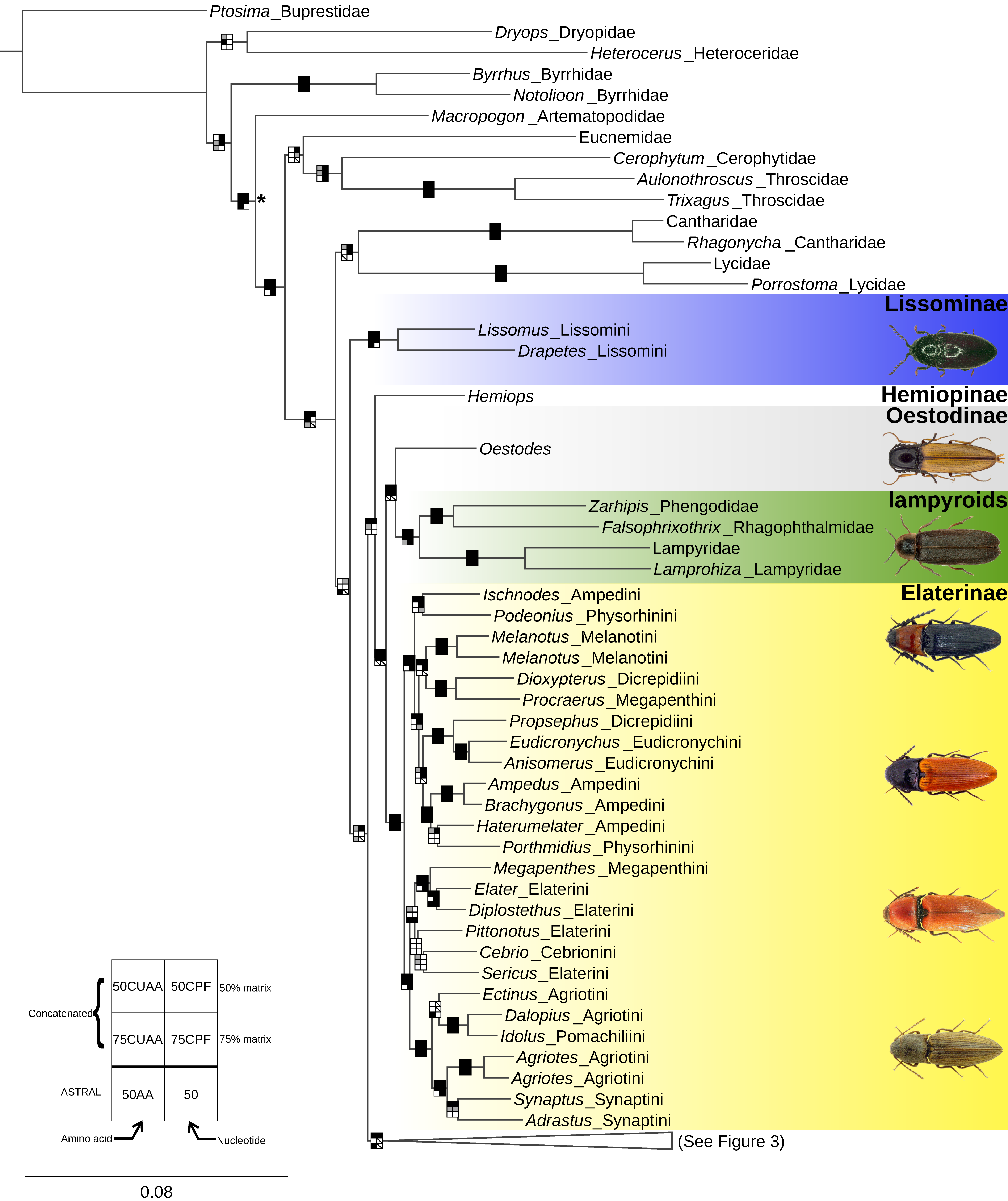 Biology 10 00451 g002