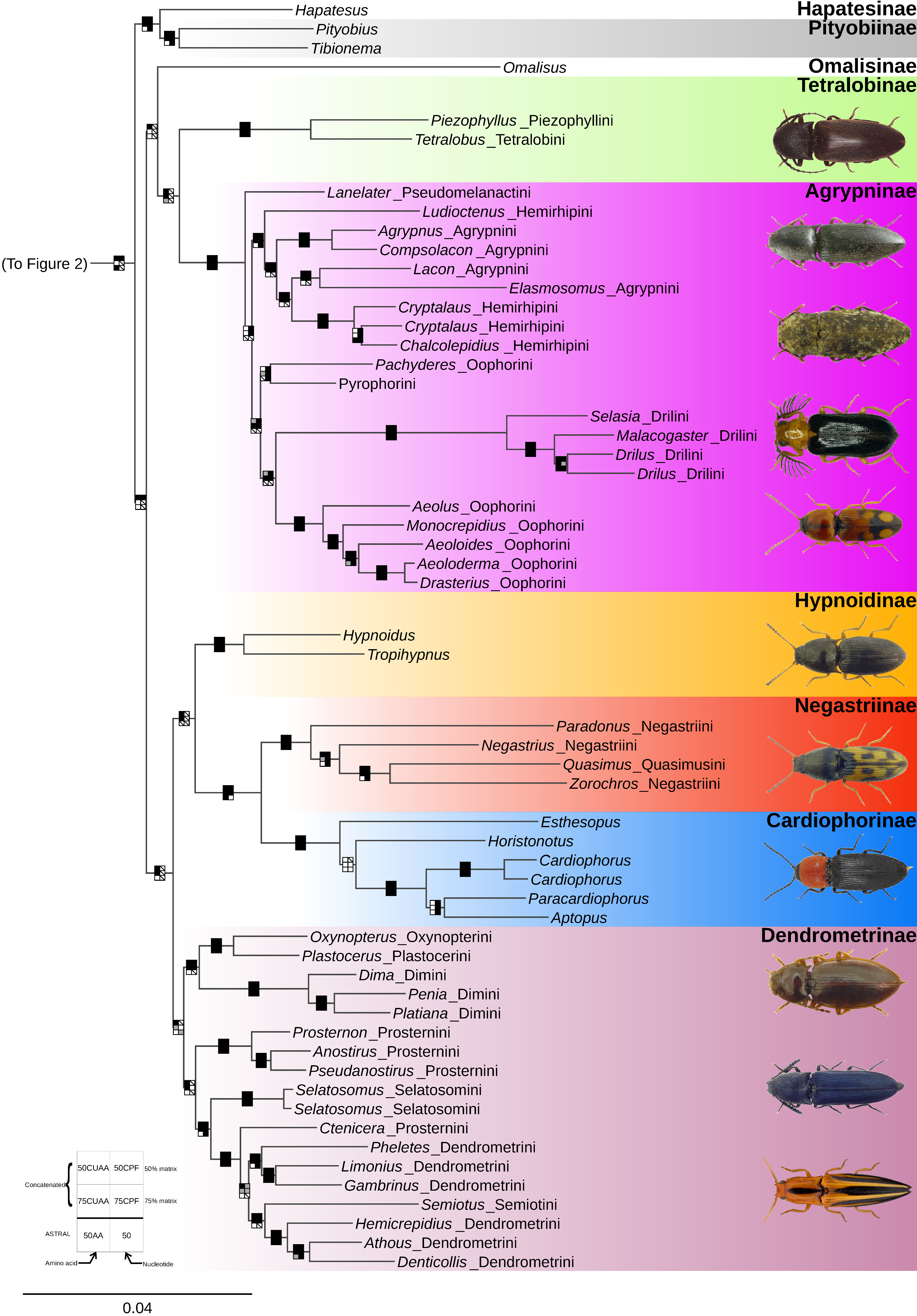 Biology 10 00451 g003