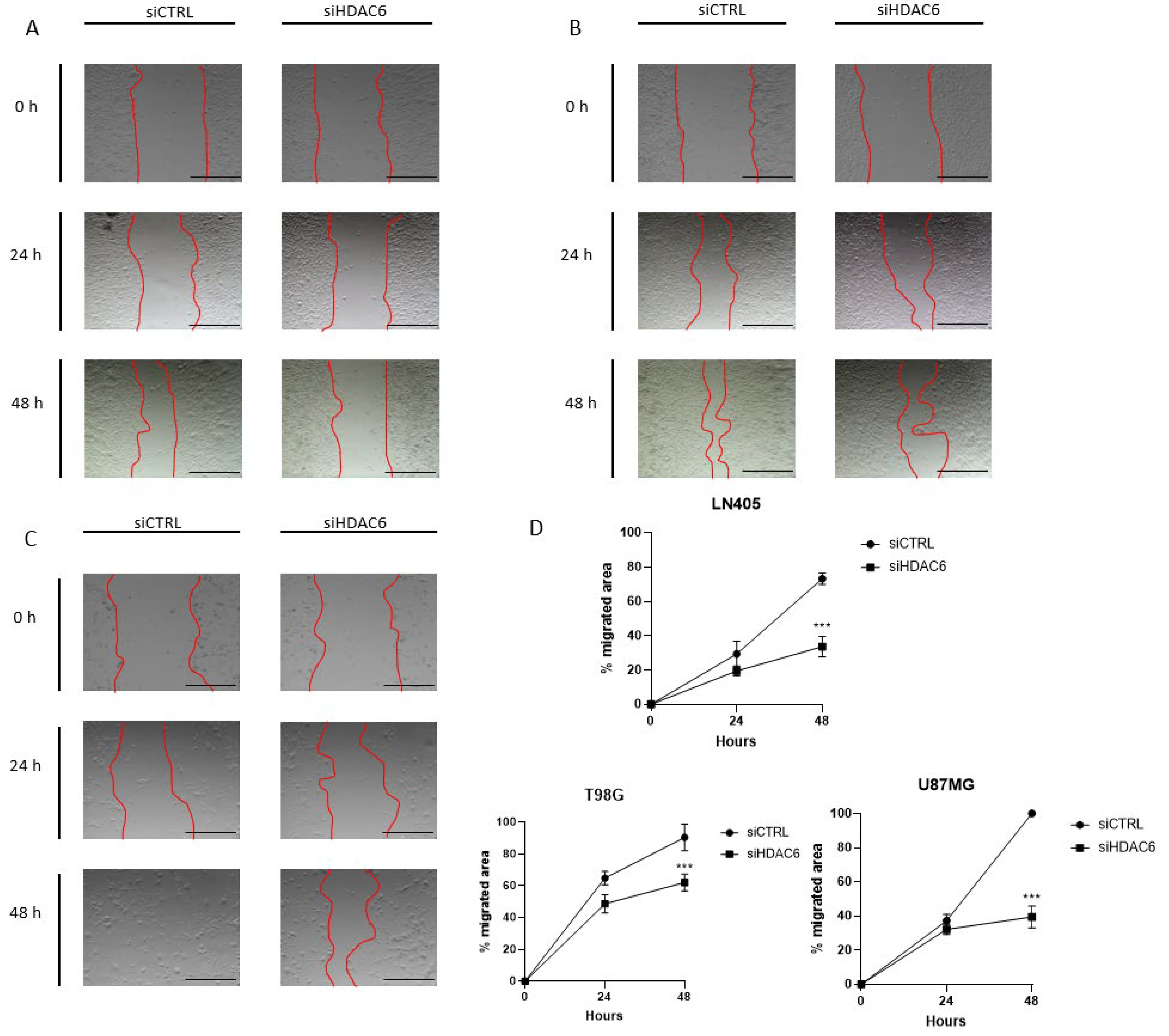 Biology 10 00467 g008