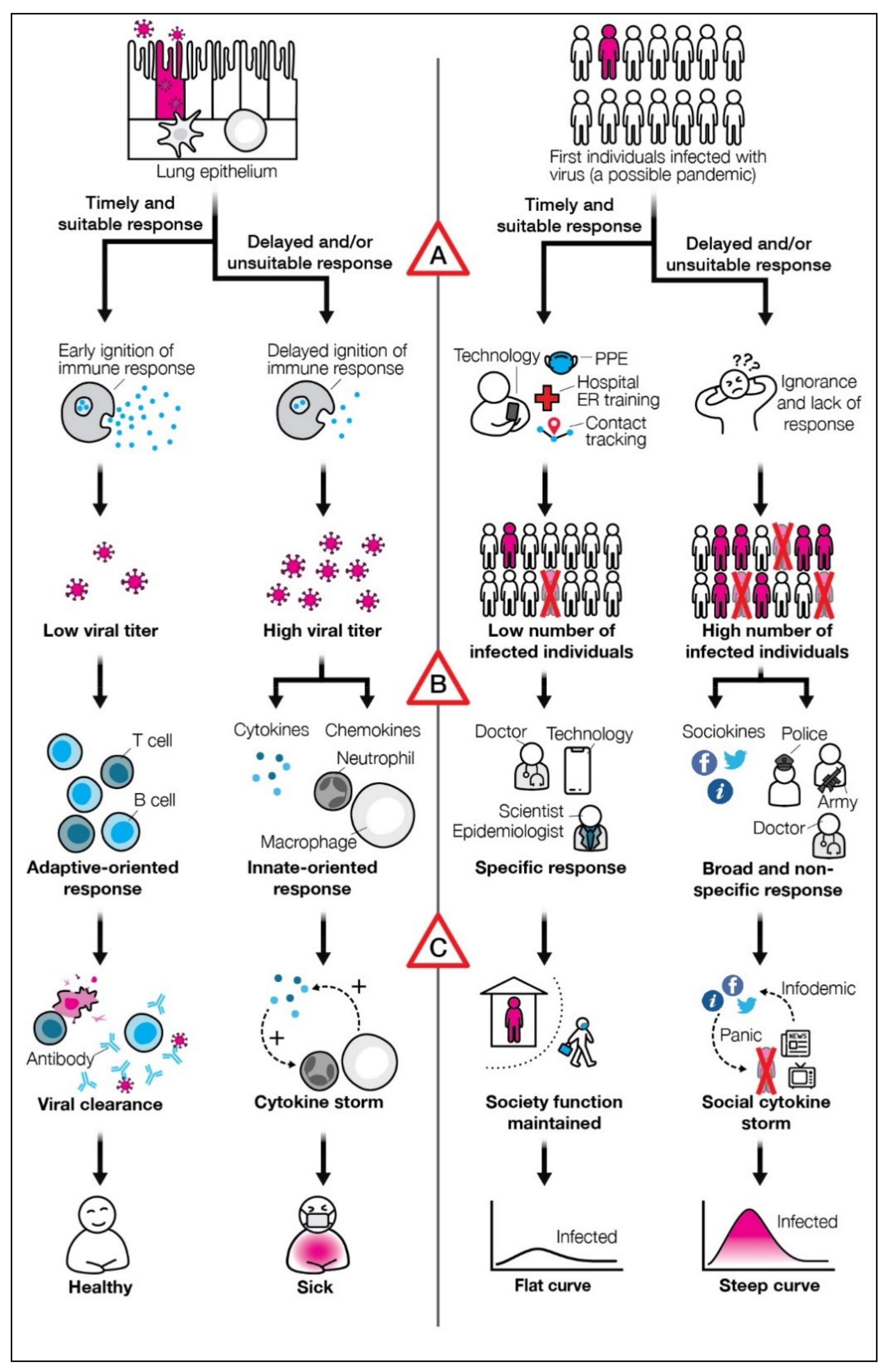 Biology 10 00485 g001