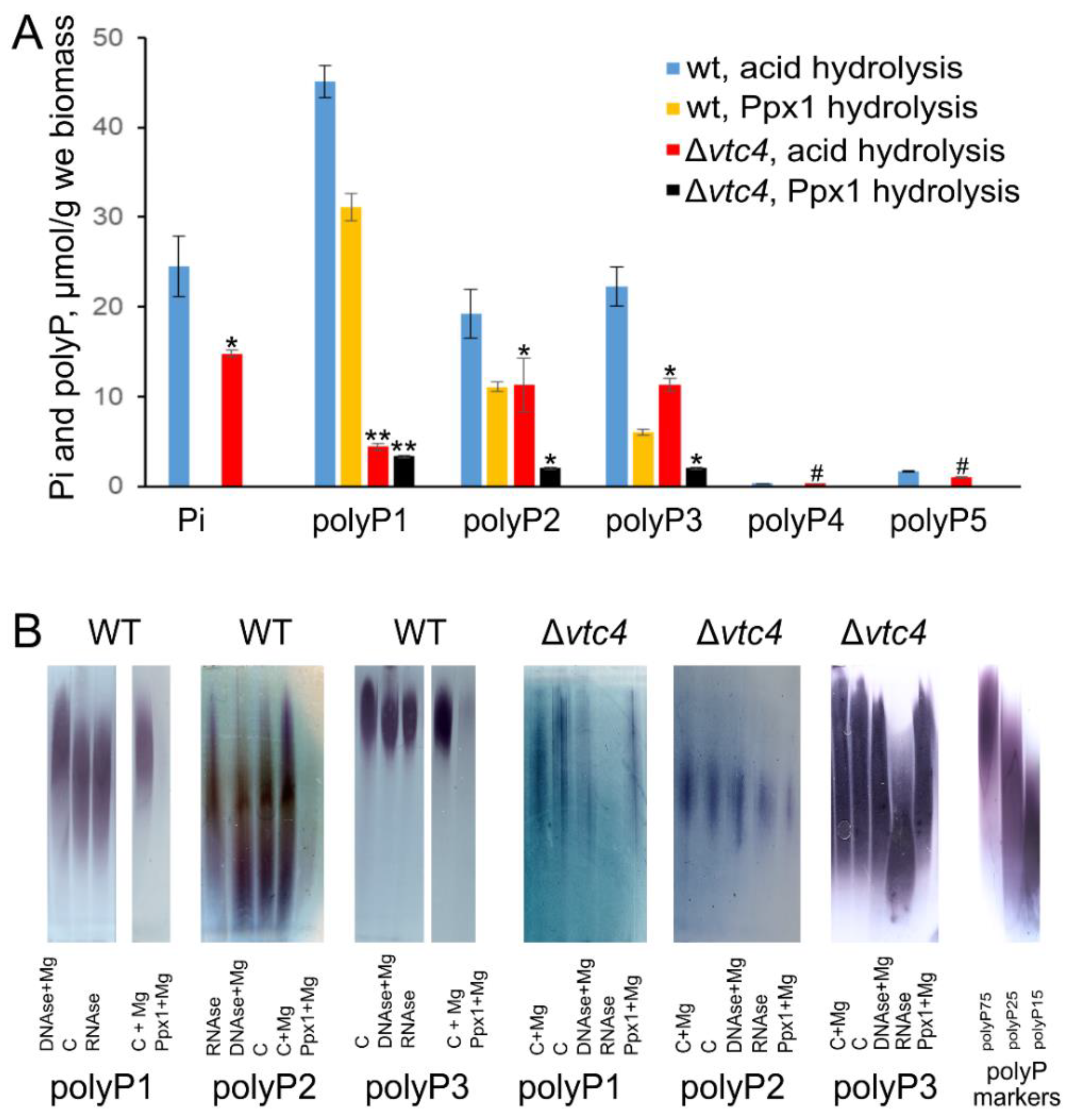Biology 10 00487 g001 Biology 10 00487 g001