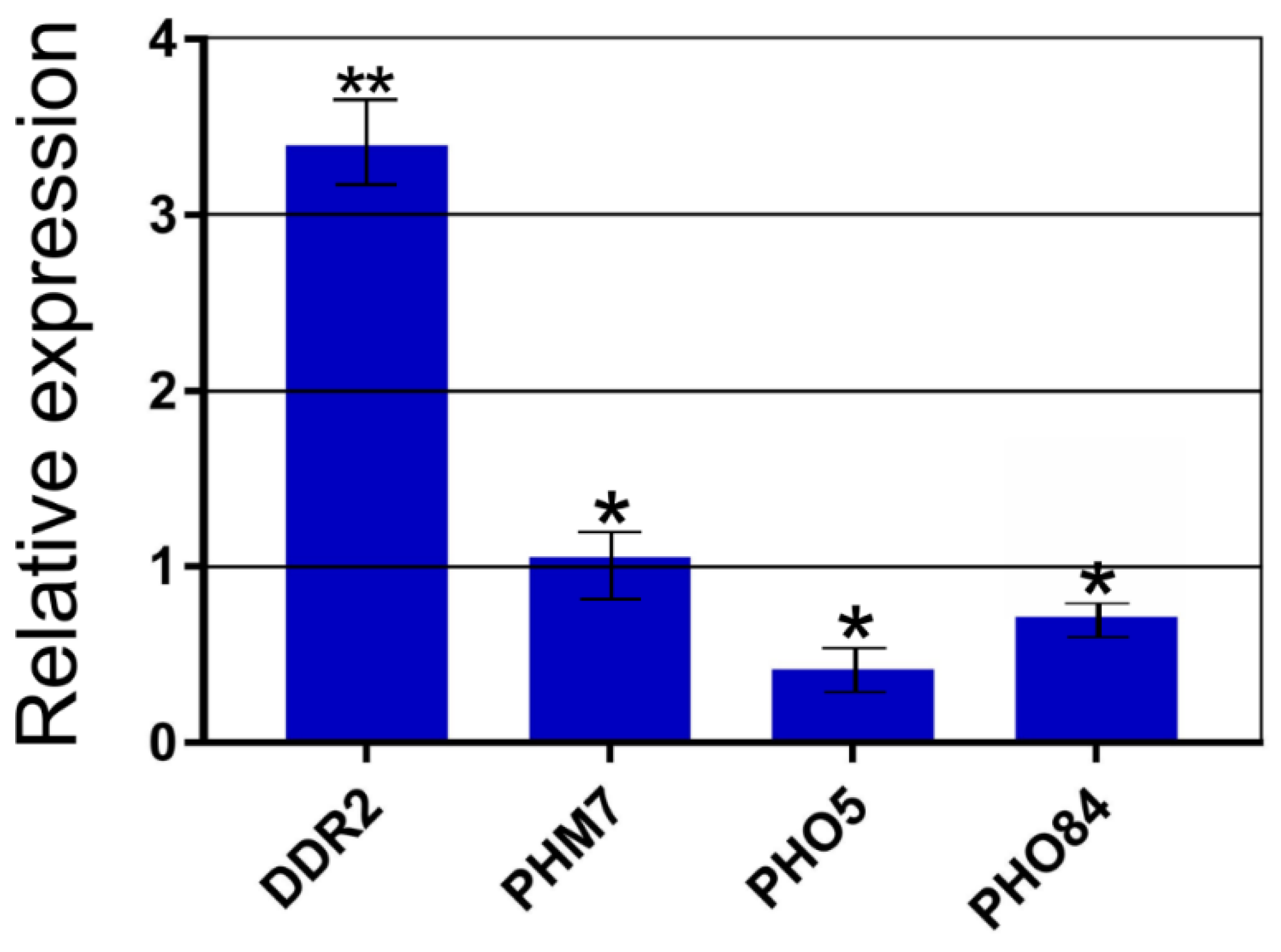 Biology 10 00487 g003 Biology 10 00487 g003