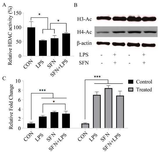 Biology 10 00490 g001