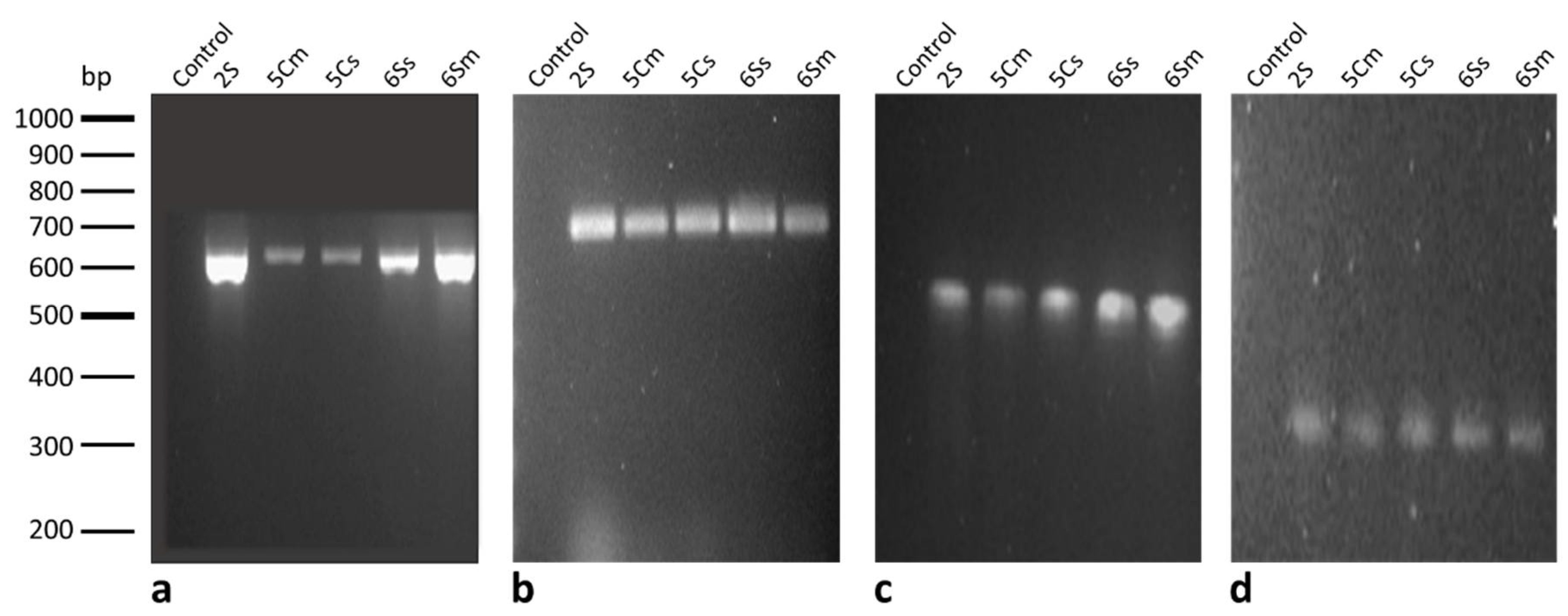 Biology 10 00492 g003 Biology 10 00492 g003