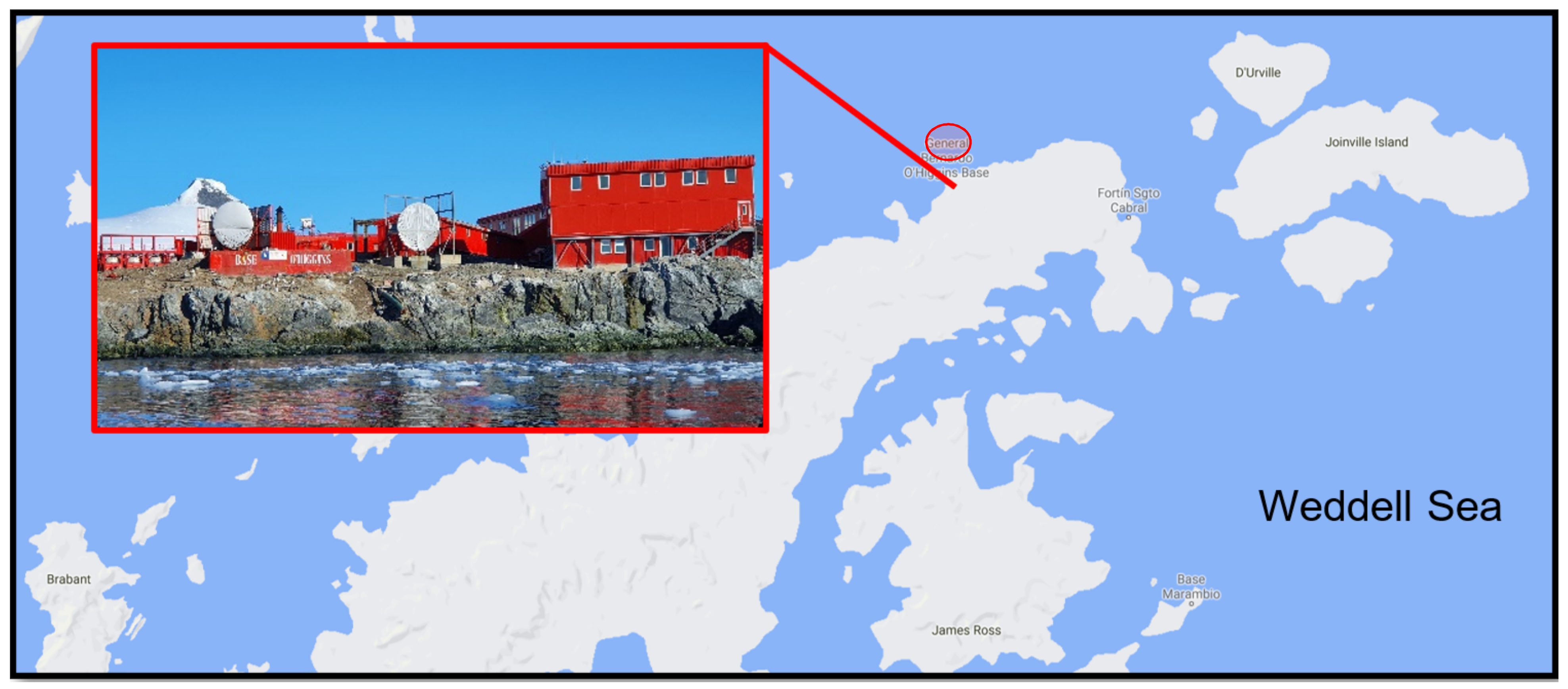 Biology 10 00493 g001