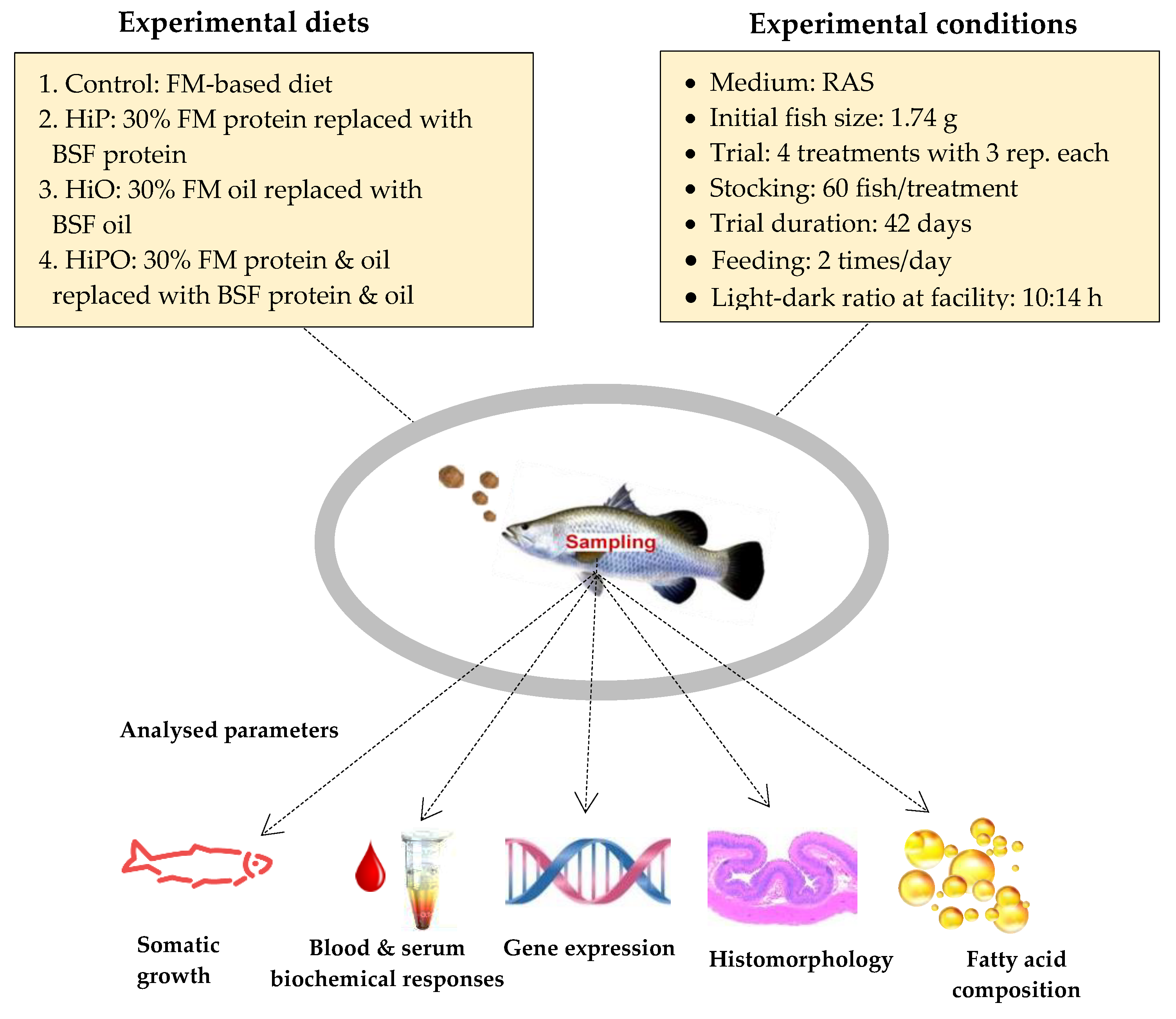 Biology 10 00505 g001 Biology 10 00505 g001