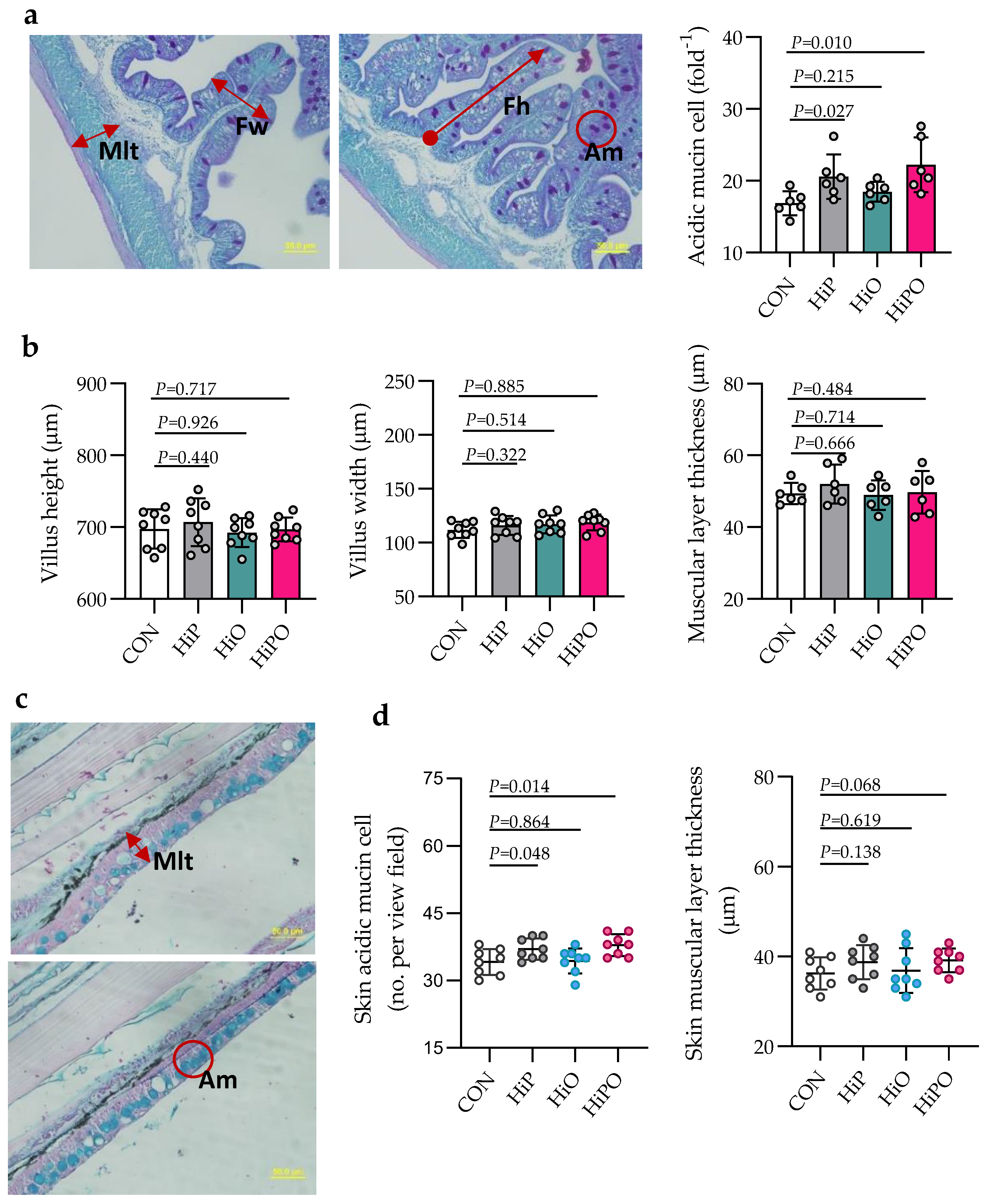 Biology 10 00505 g004 Biology 10 00505 g004