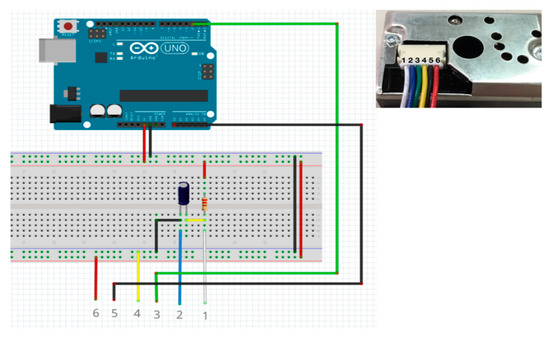Biology 10 00506 g0a3