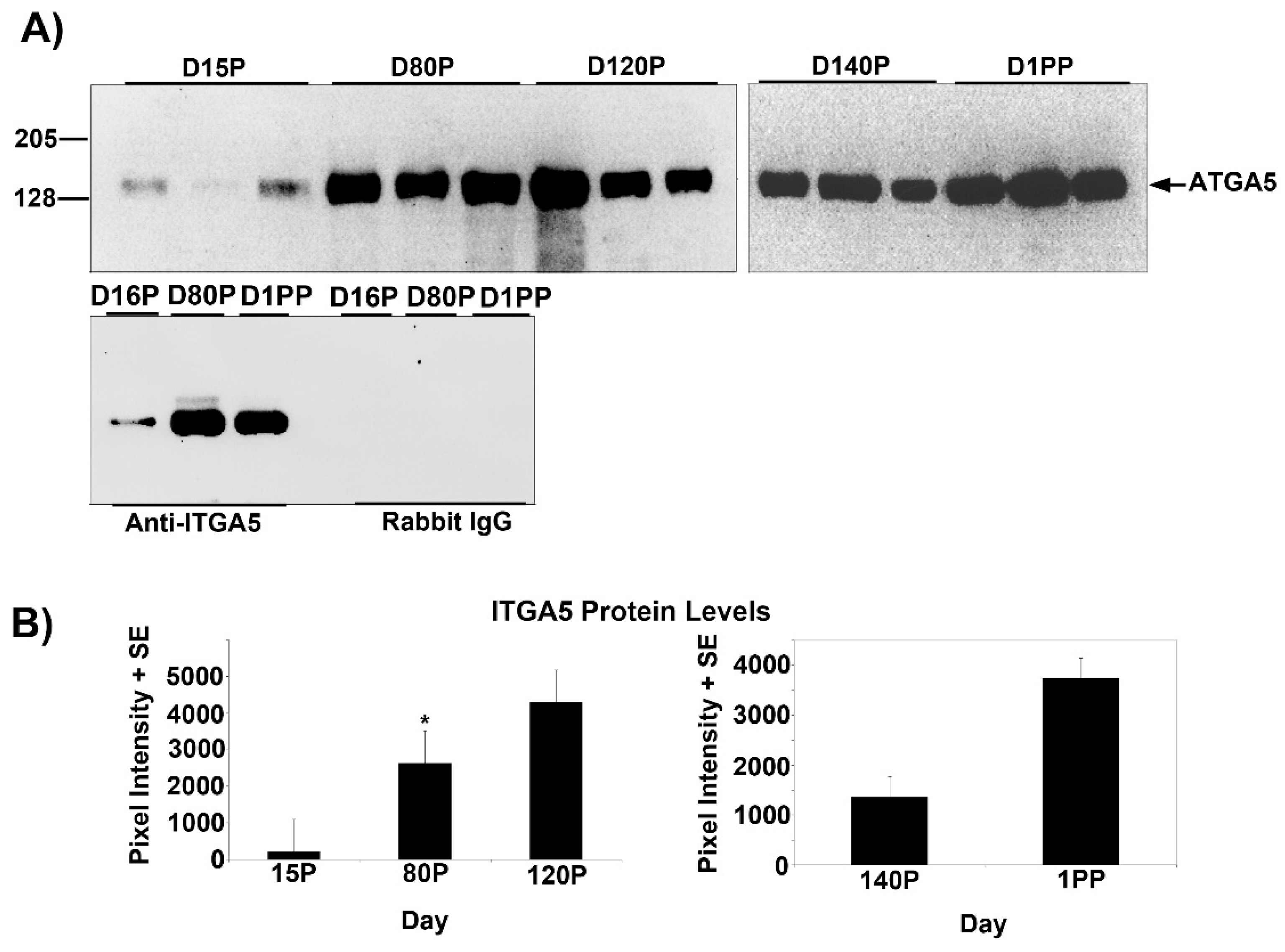 Biology 10 00508 g001 Biology 10 00508 g001