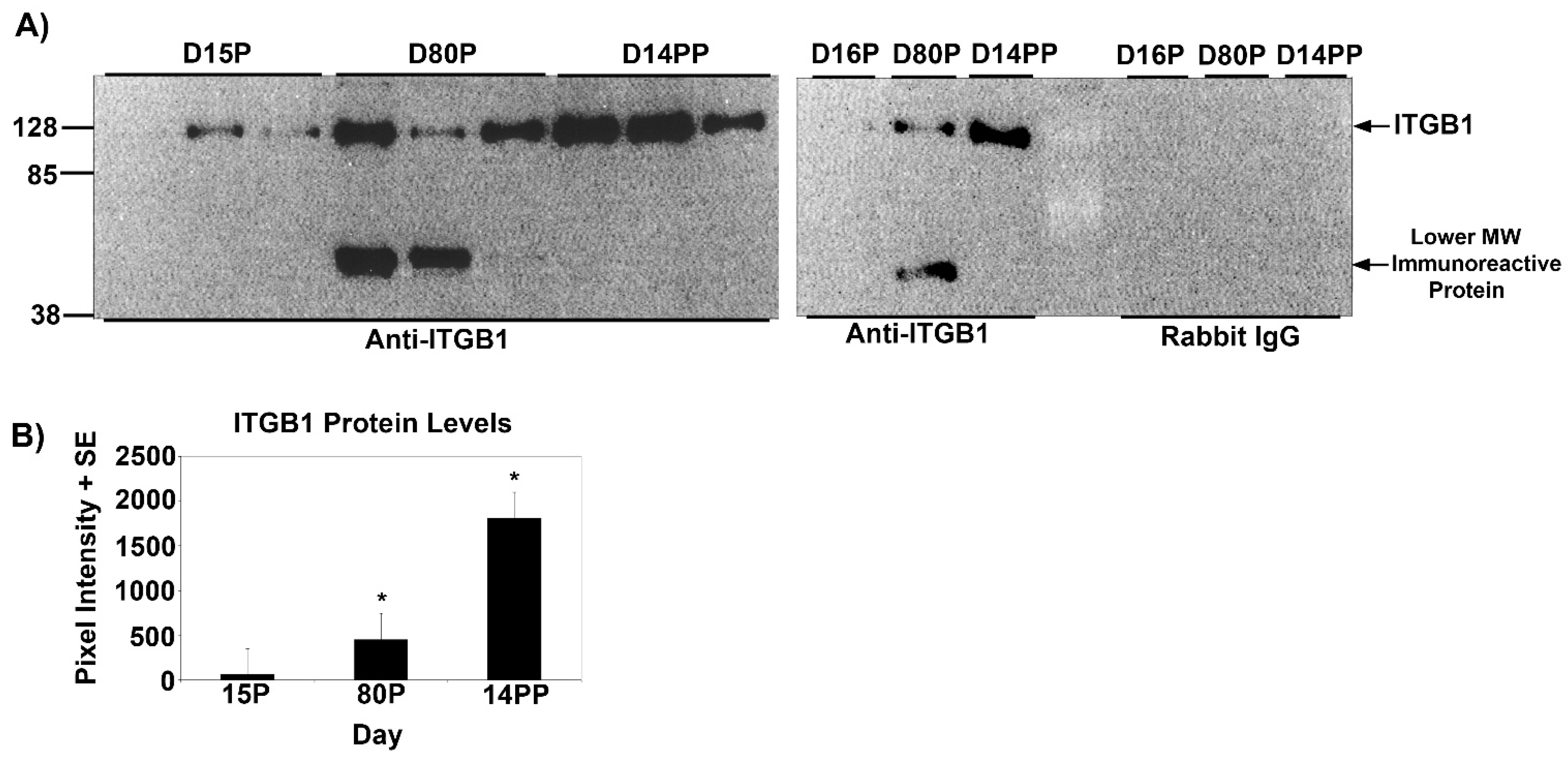 Biology 10 00508 g002 Biology 10 00508 g002