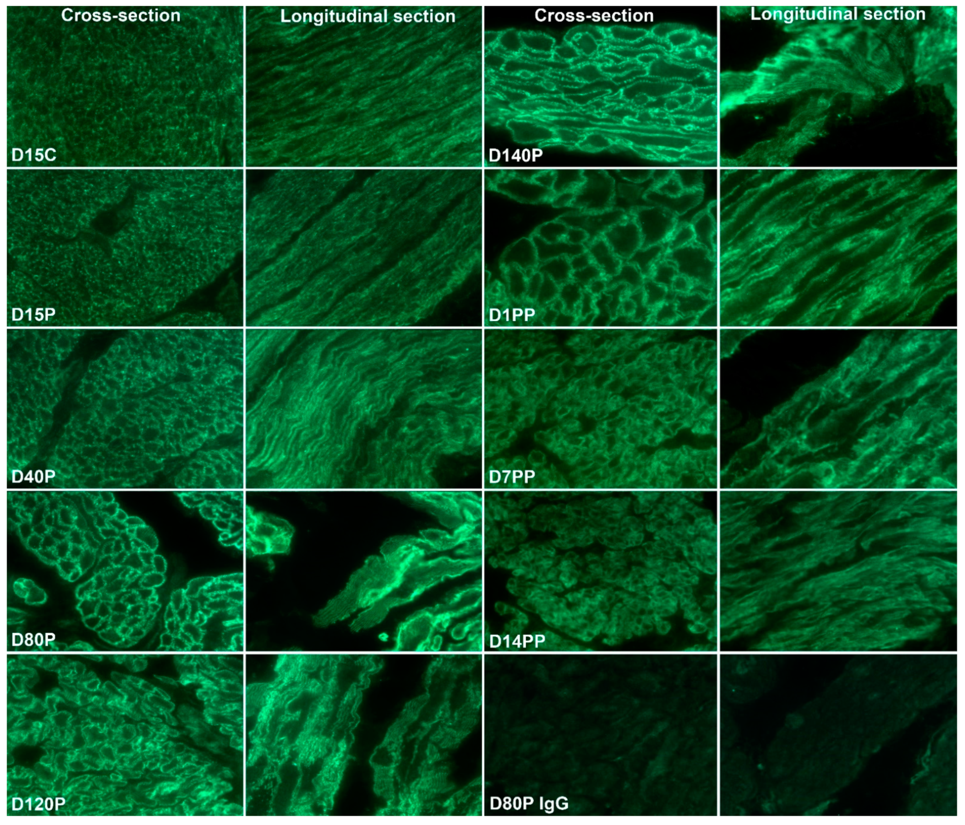 Biology 10 00508 g004 Biology 10 00508 g004