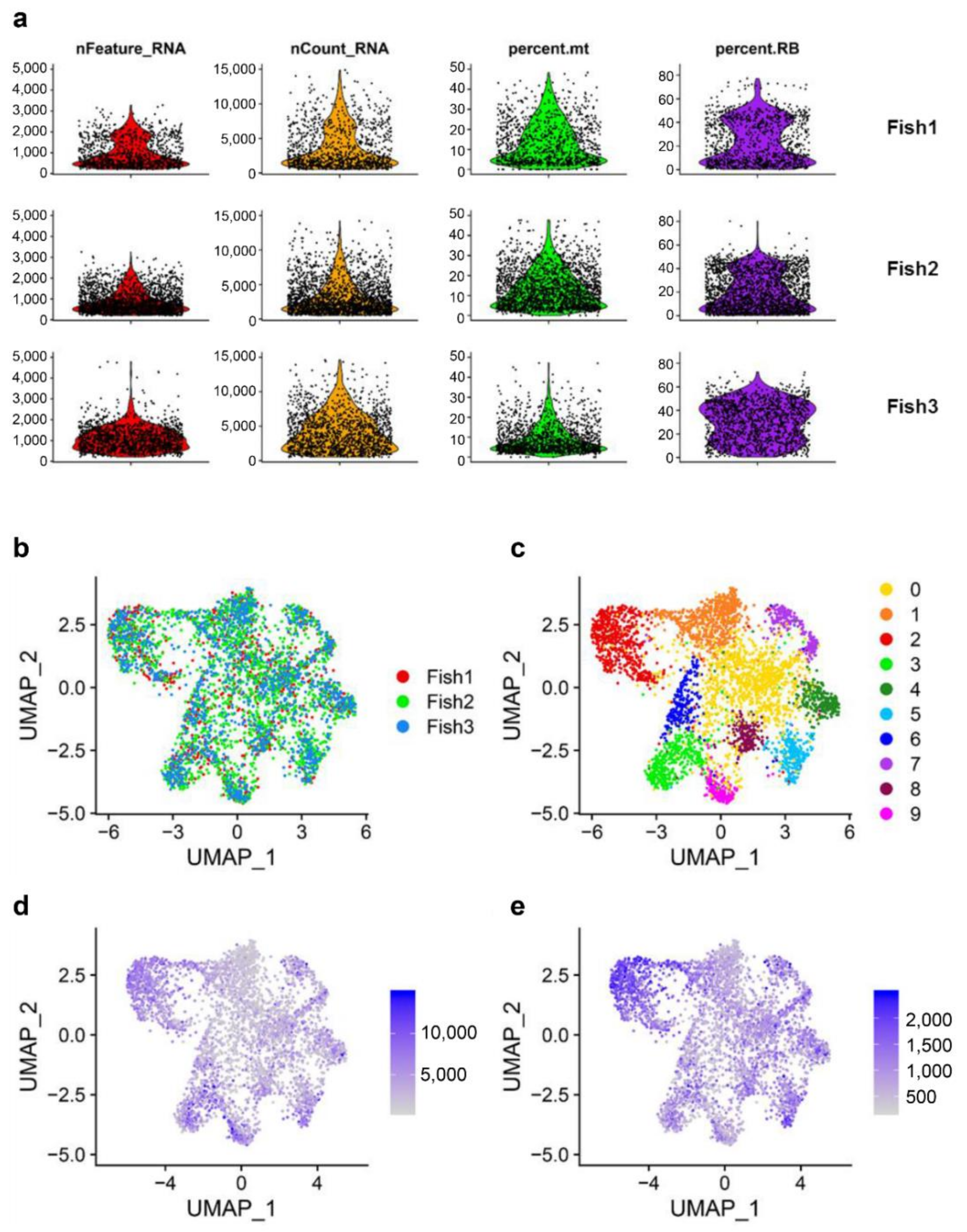 Biology 10 00511 g001