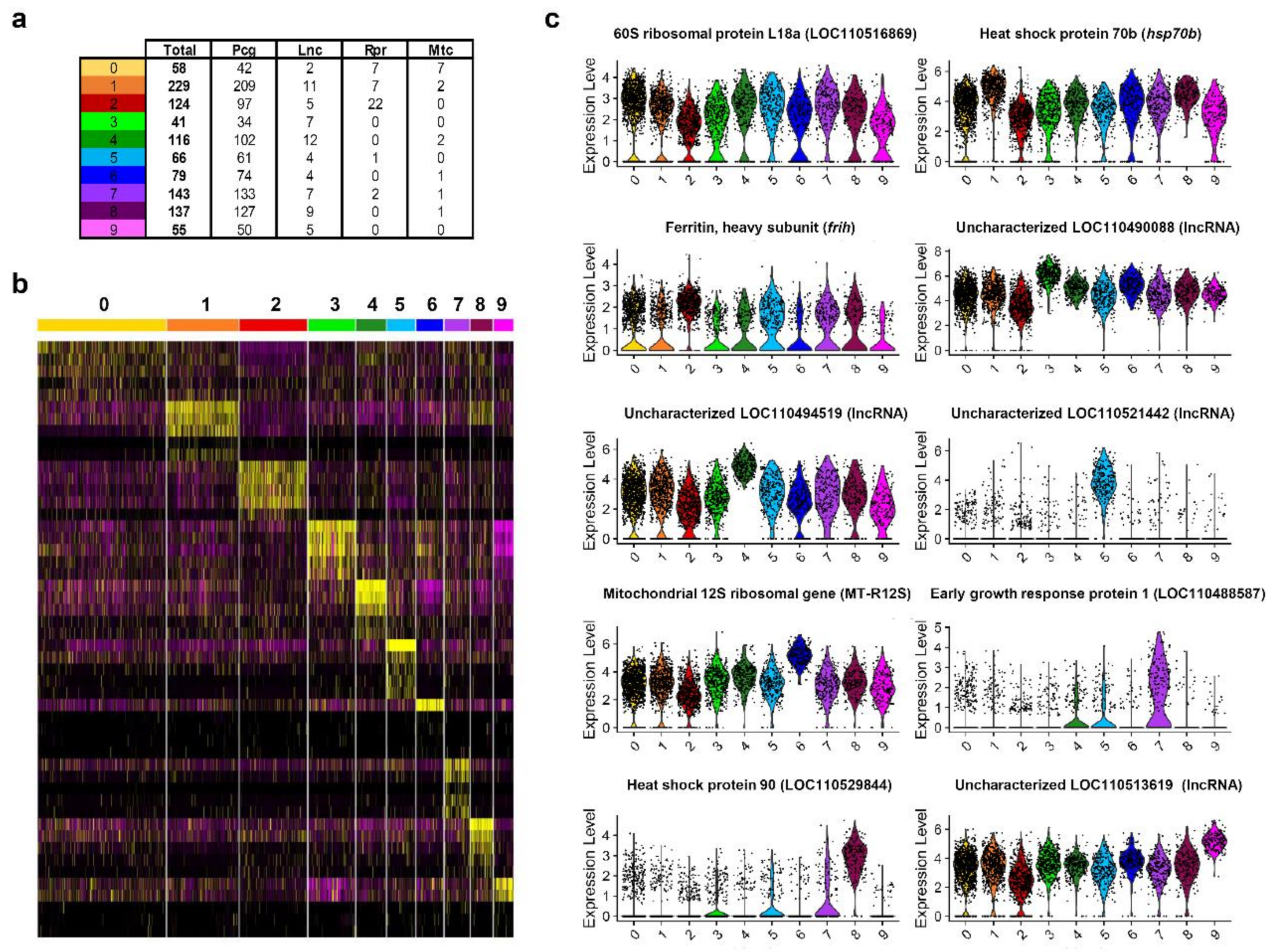 Biology 10 00511 g002