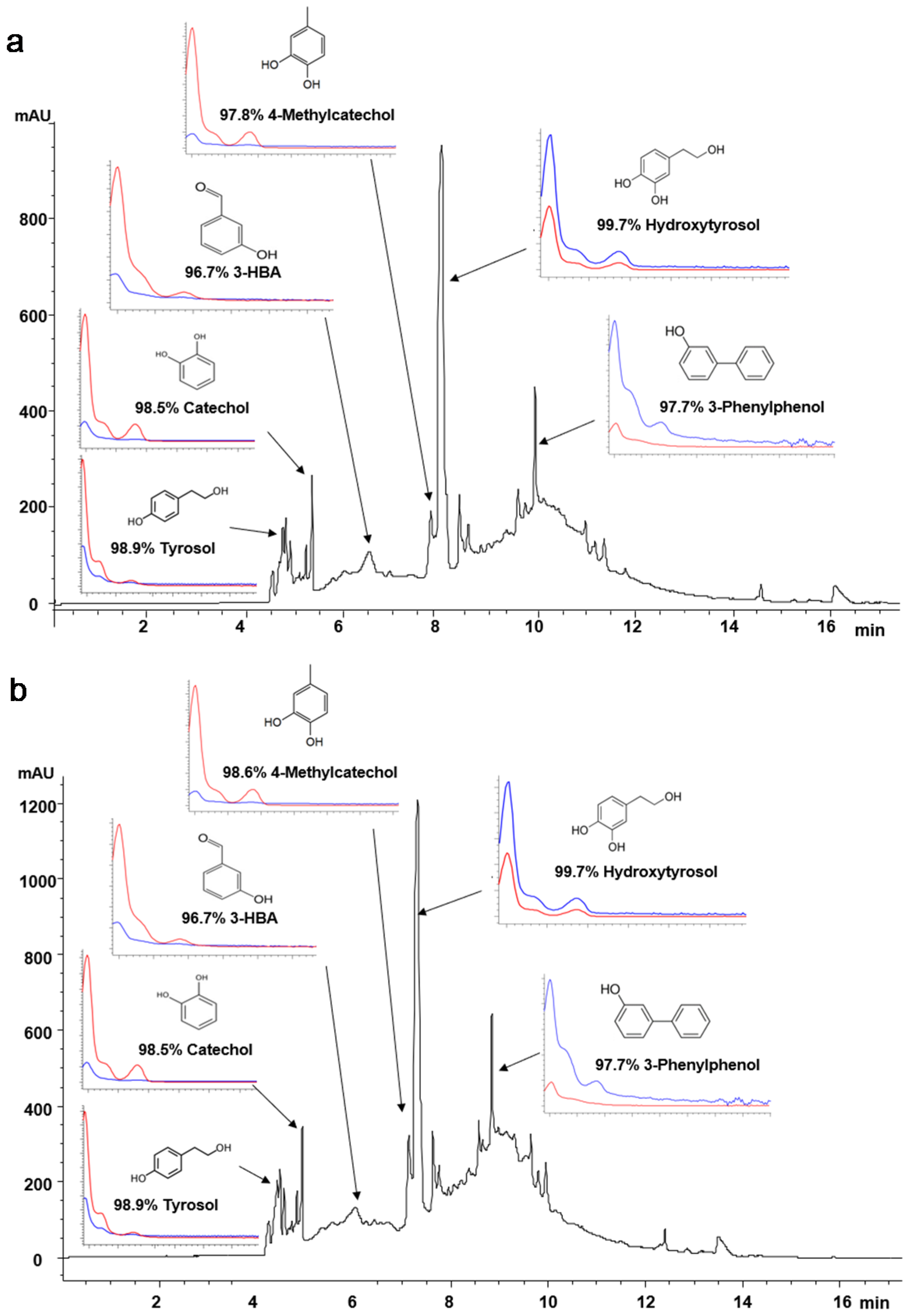 Biology 10 00514 g004