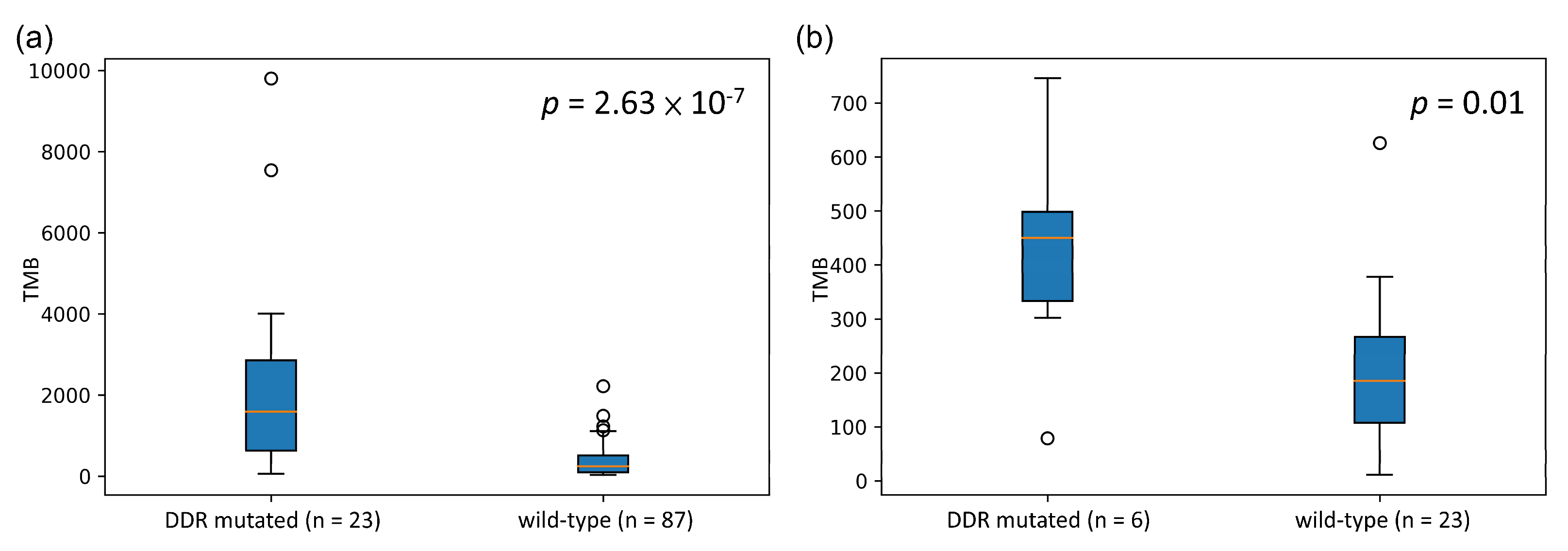 Biology 10 00528 g003 Biology 10 00528 g003