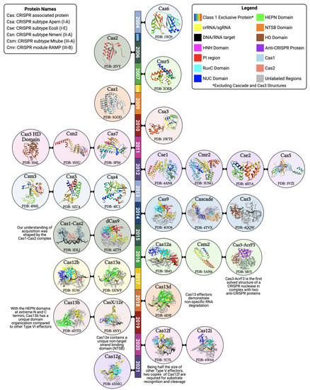 Biology 10 00530 g002
