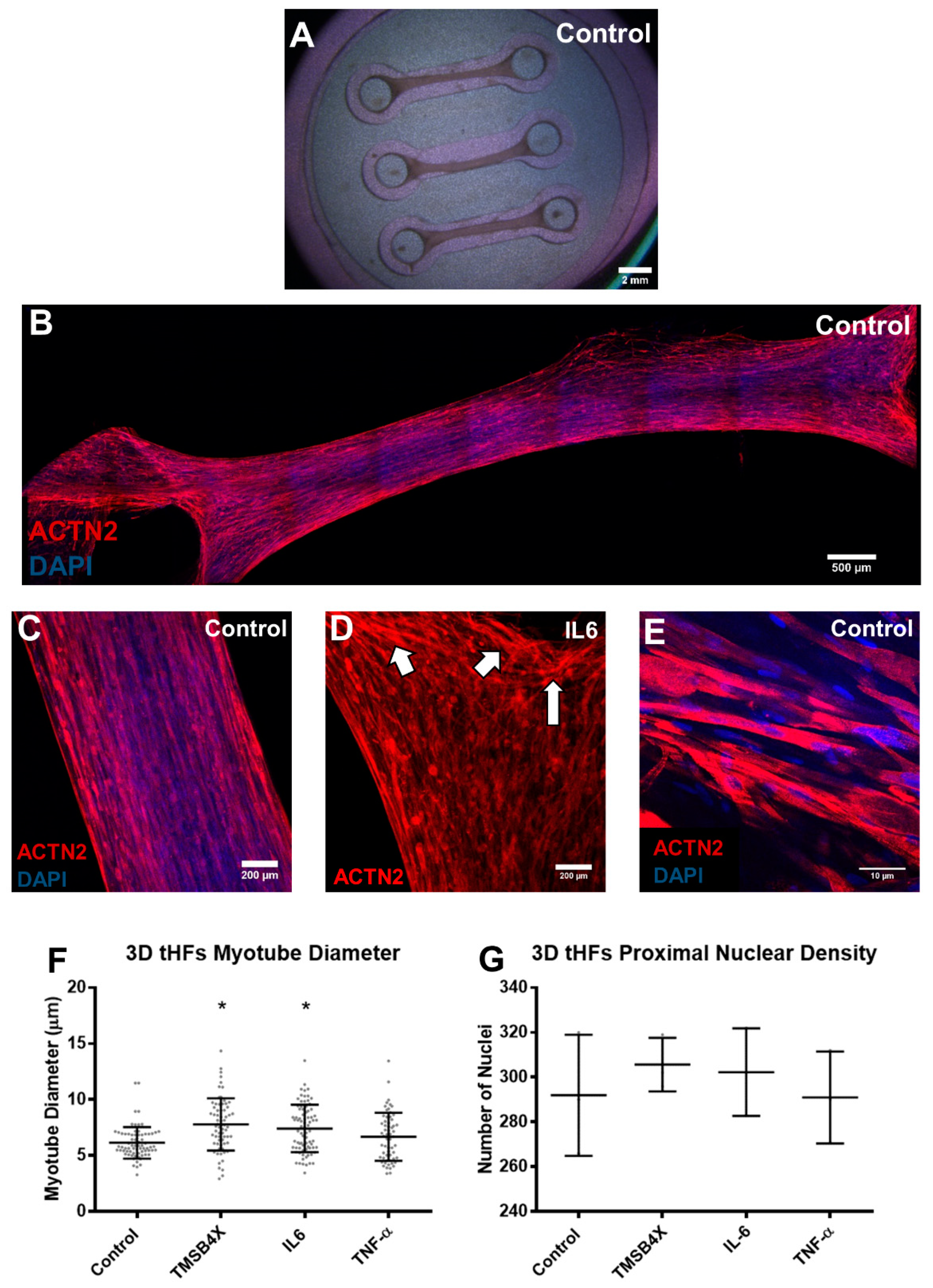 Biology 10 00539 g006
