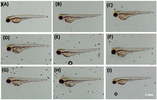 Biology 10 00548 g0a1