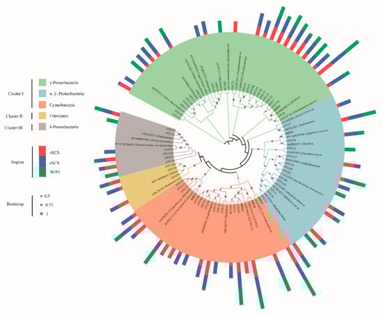 Biology 10 00555 g0a2