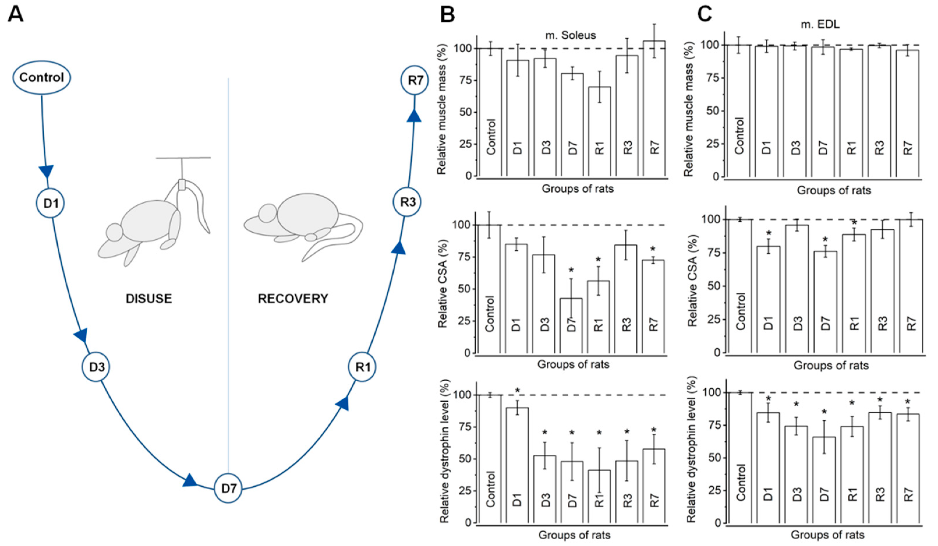 Biology 10 00557 g001 Biology 10 00557 g001