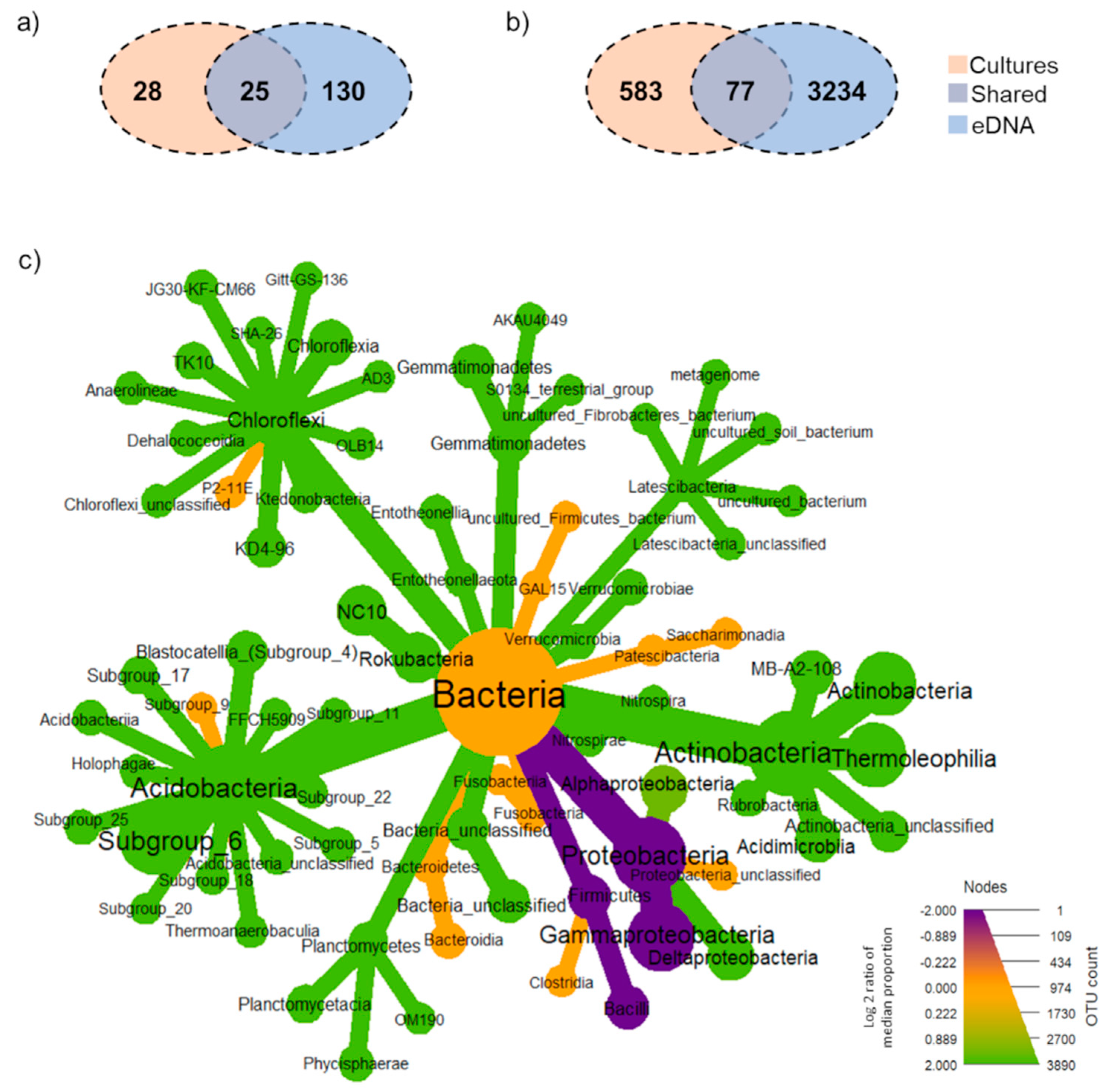 Biology 10 00569 g004