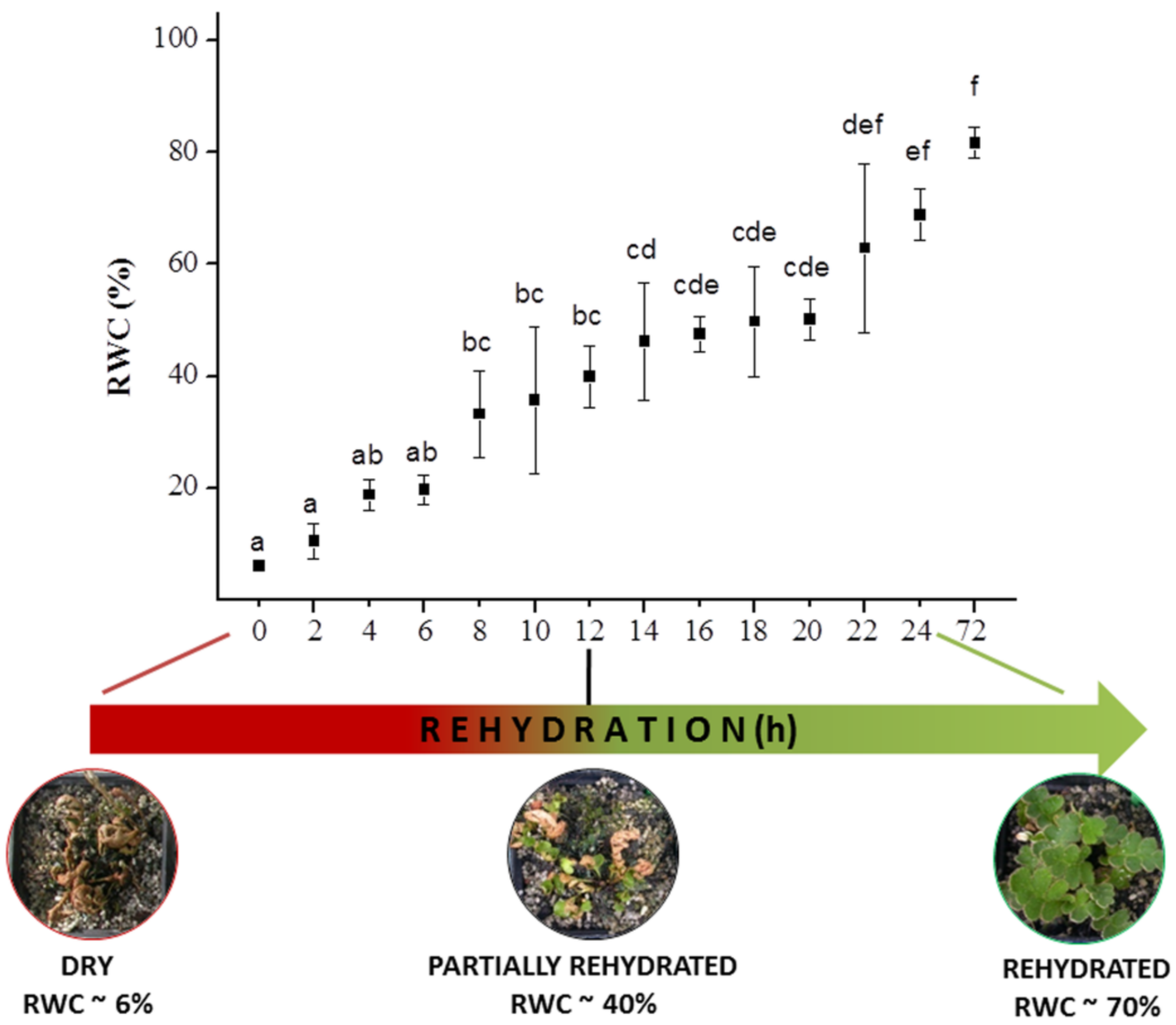 Biology 10 00574 g001