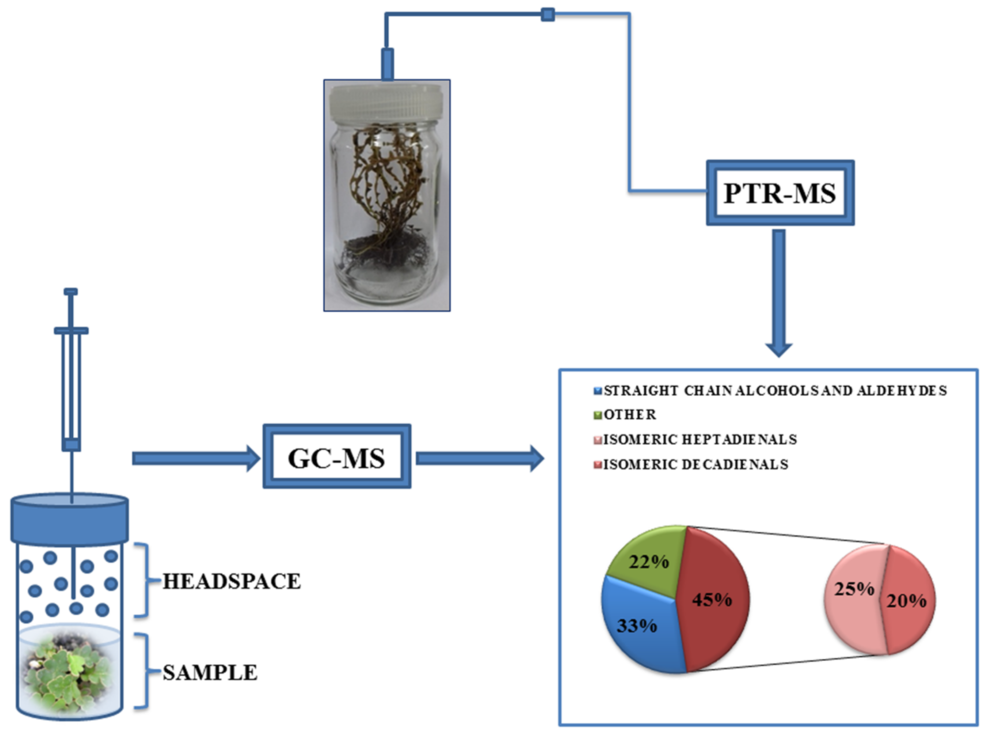 Biology 10 00574 sch001