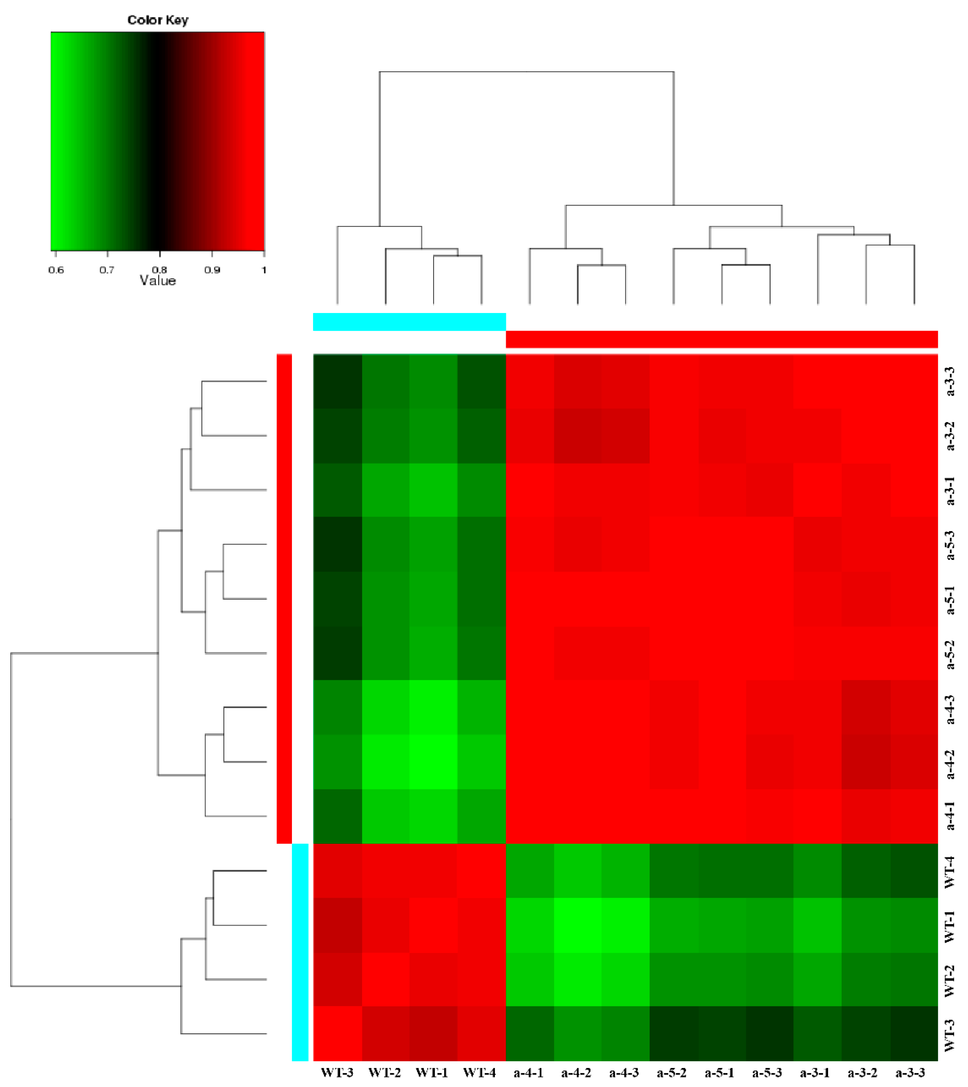 Biology 10 00576 g001