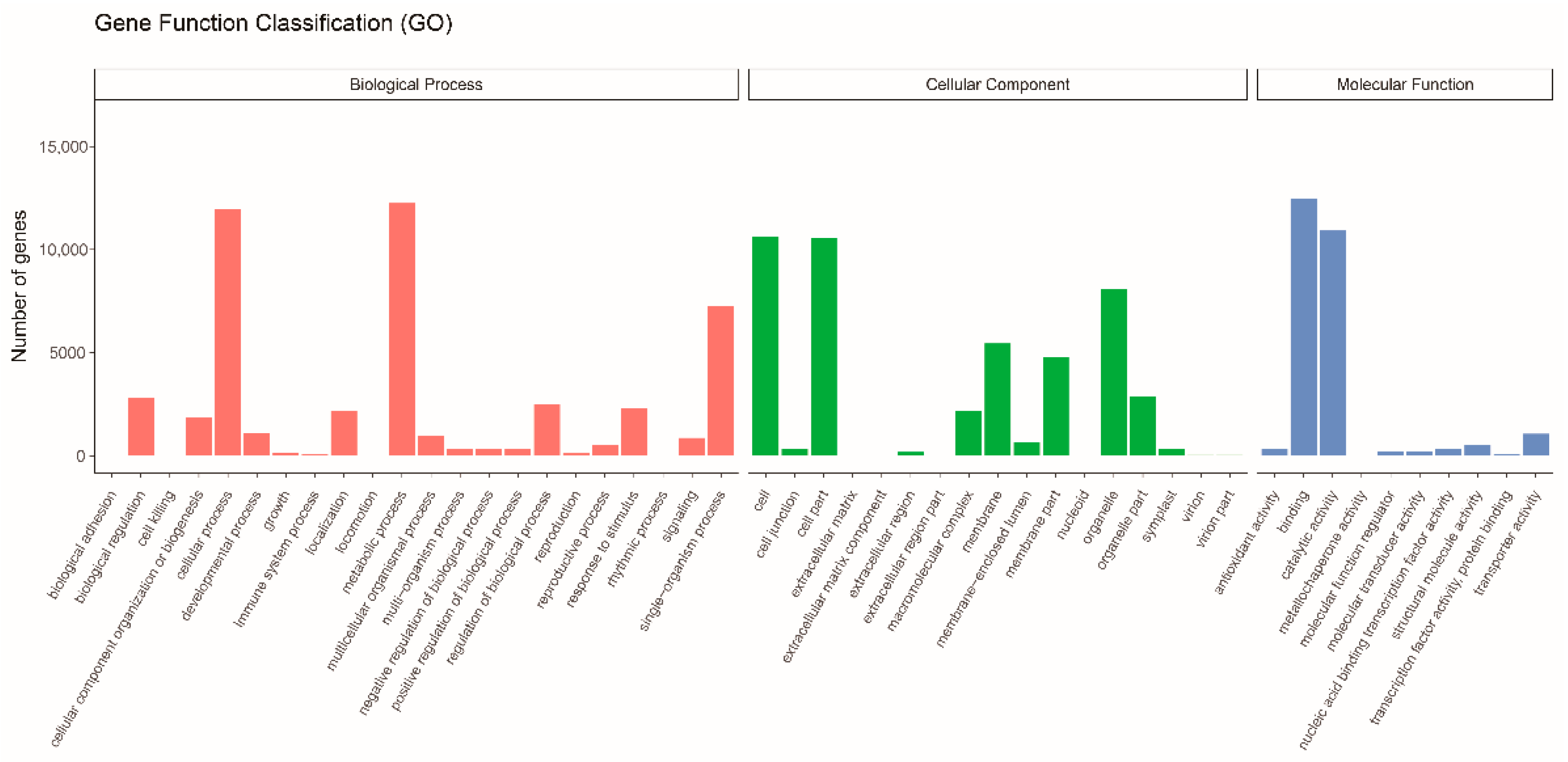 Biology 10 00576 g002