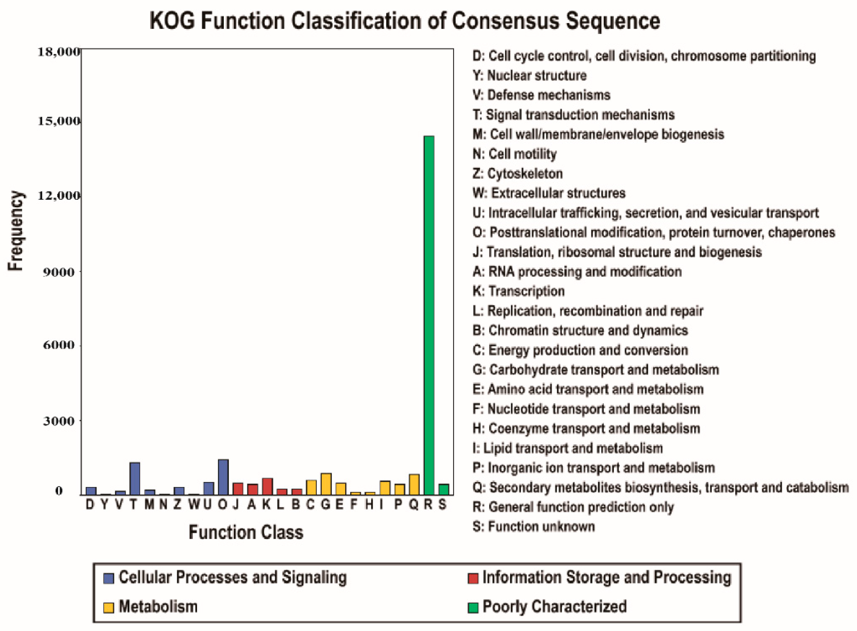 Biology 10 00576 g003