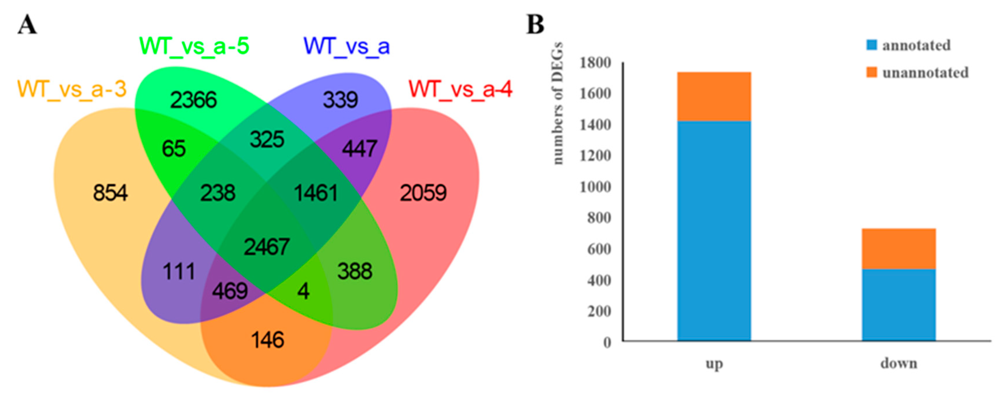 Biology 10 00576 g006