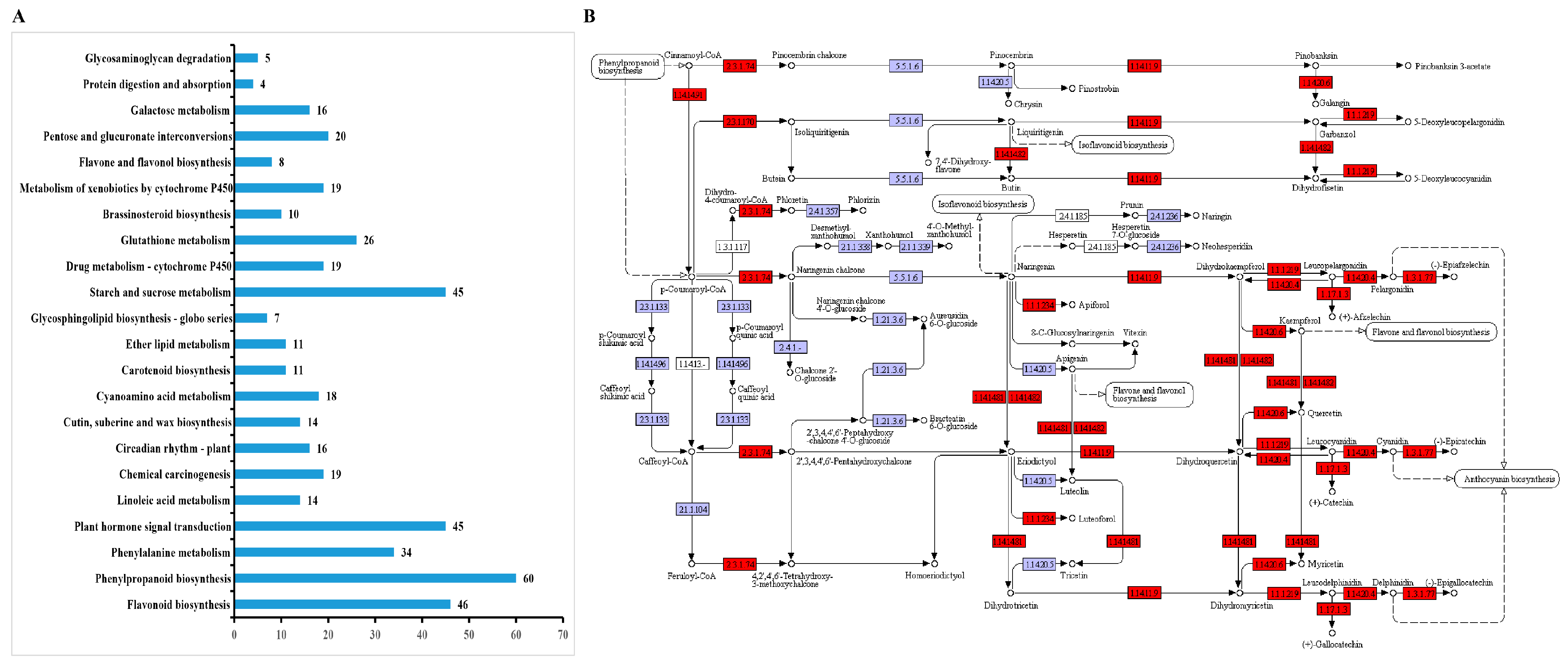 Biology 10 00576 g007