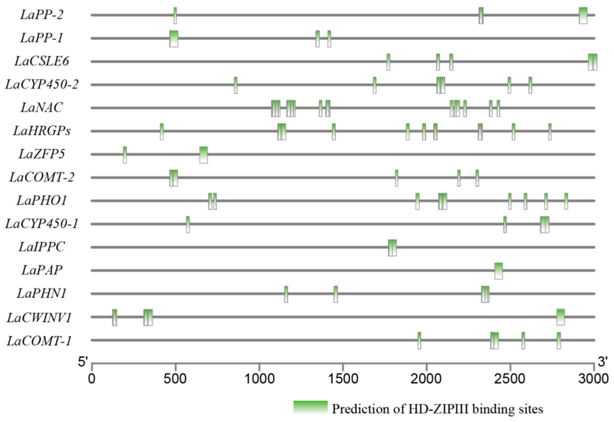 Biology 10 00576 g010