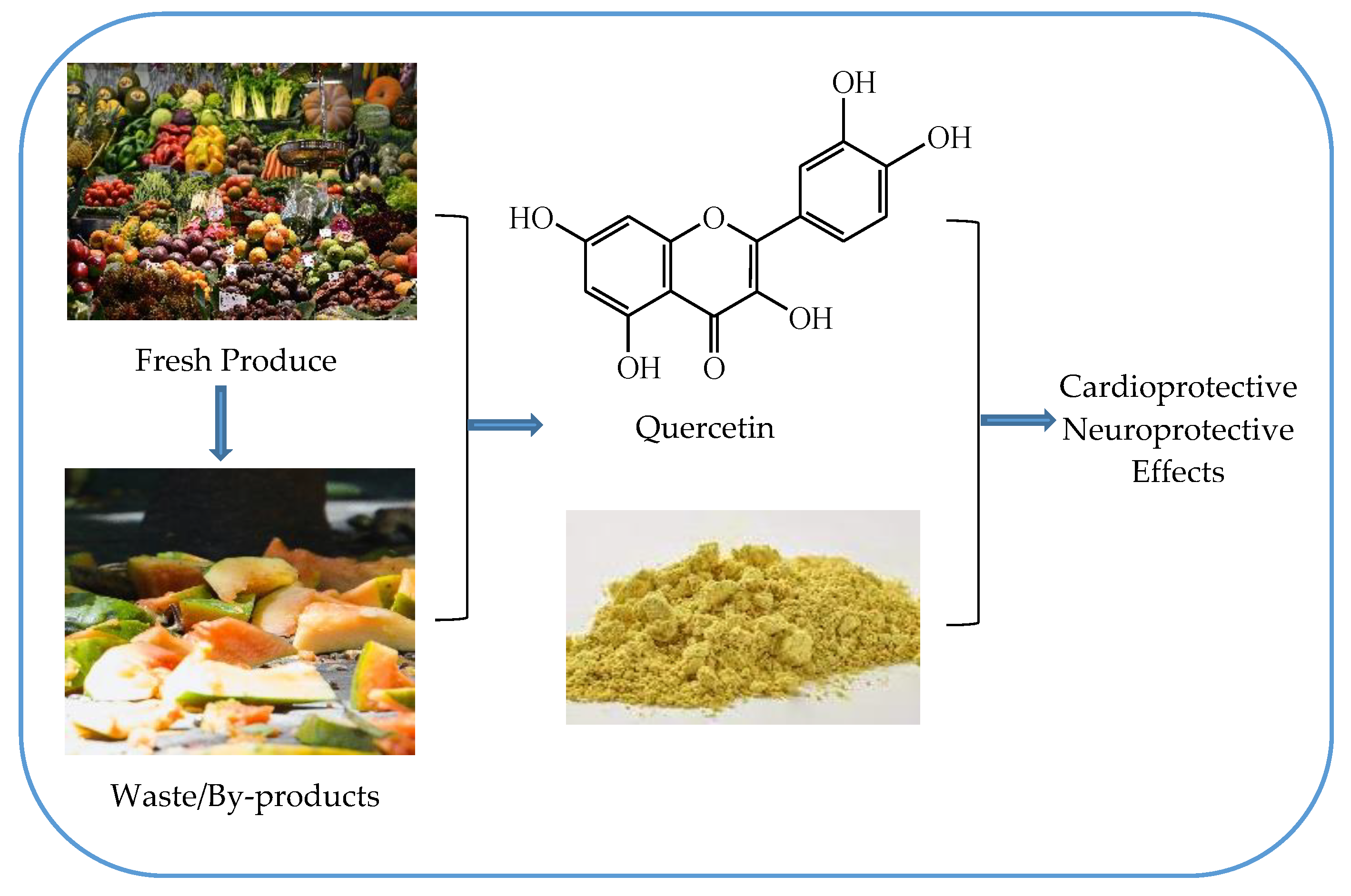 Biology 10 00586 g001
