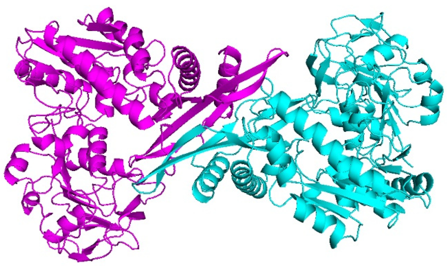 Biology 10 00594 g001