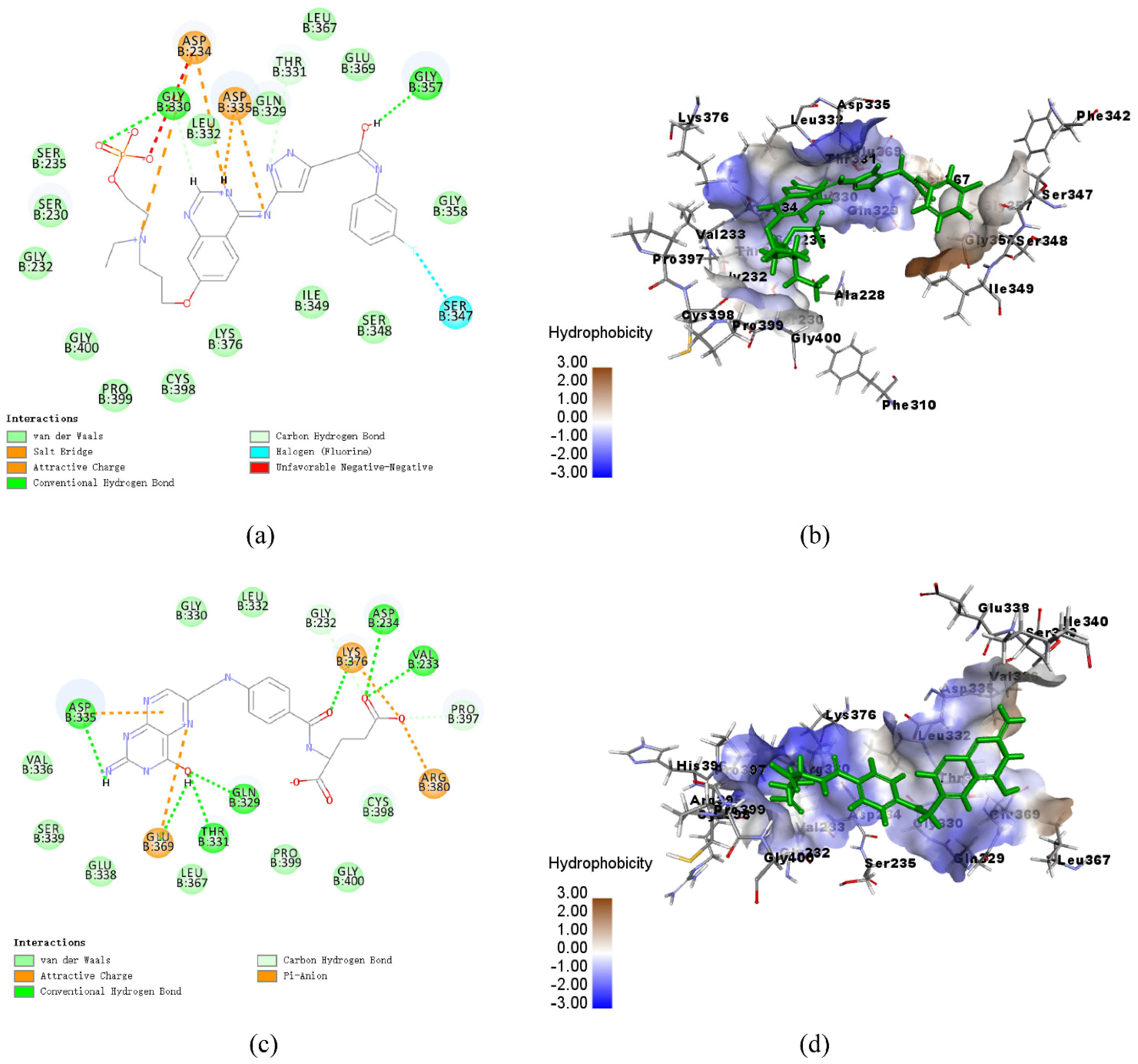 Biology 10 00594 g006