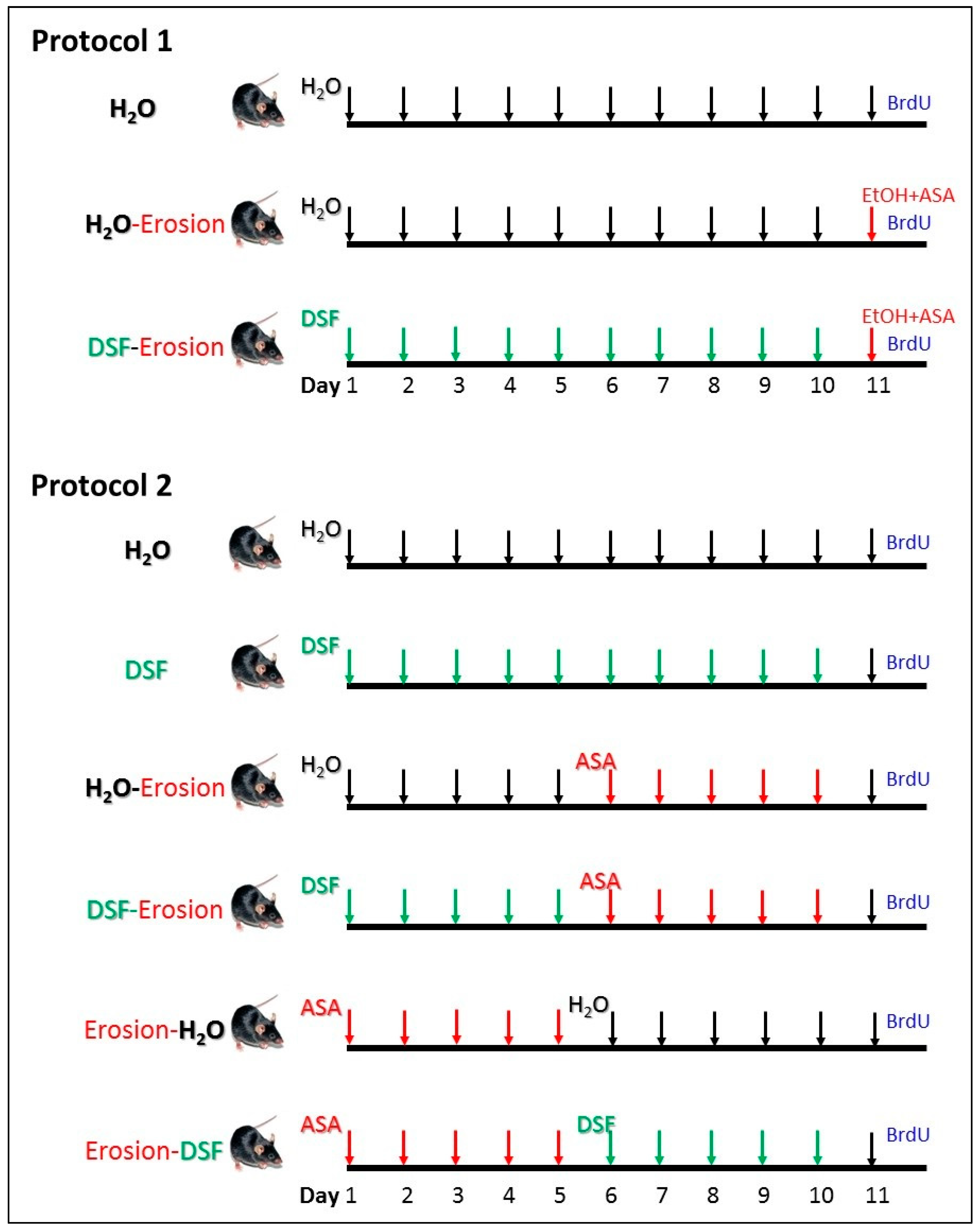 Biology 10 00596 g001