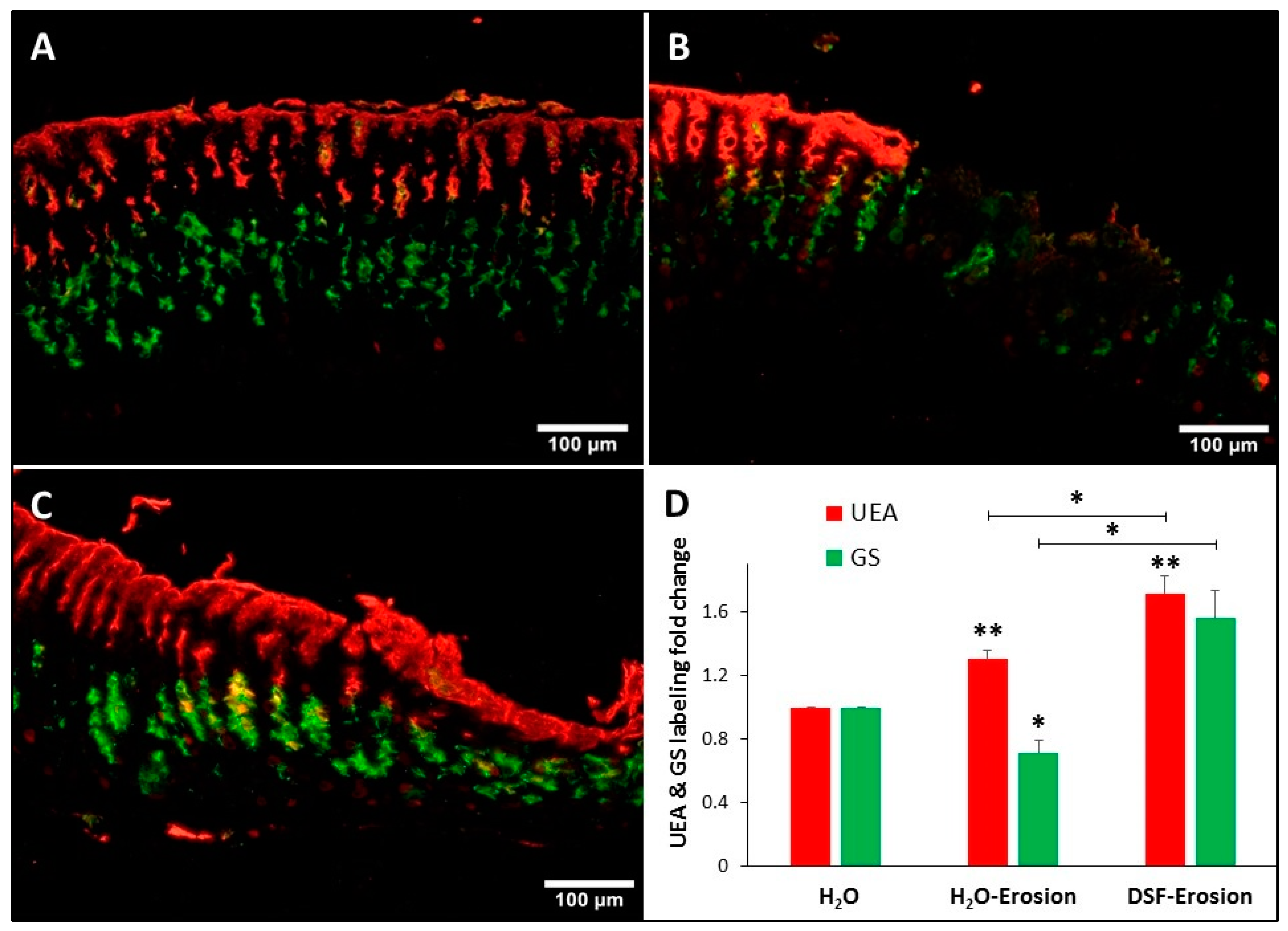 Biology 10 00596 g006