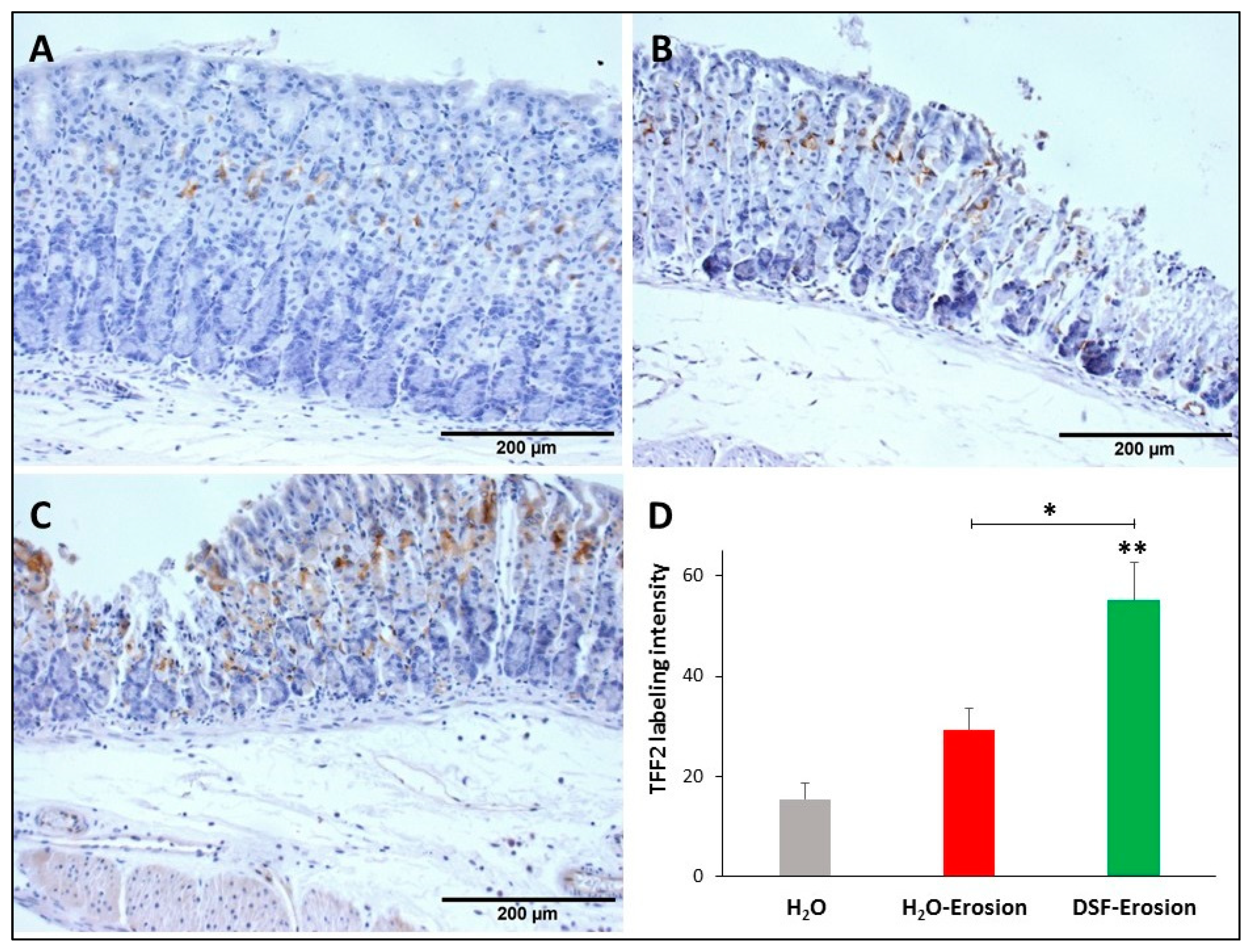Biology 10 00596 g008